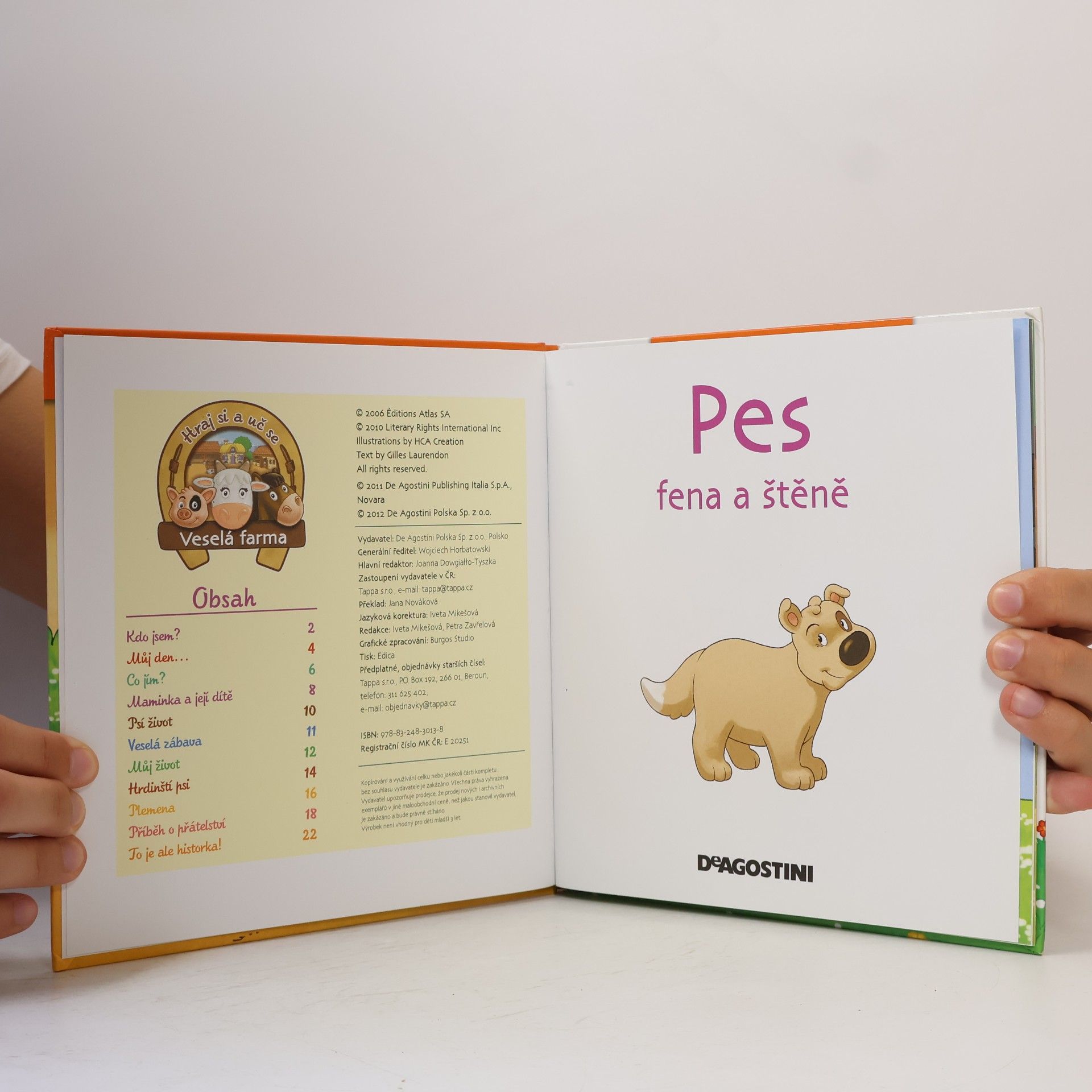 Autorenkollektiv Na dvorku 6. Pes