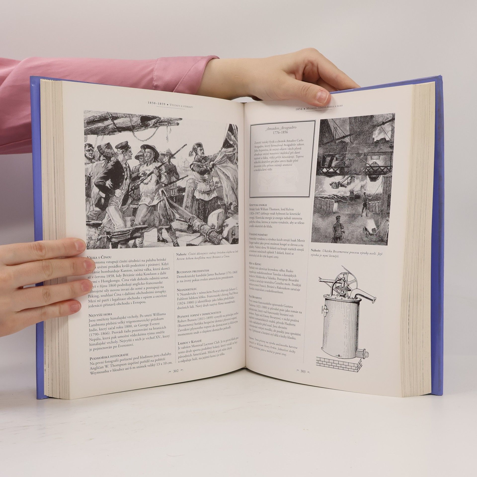 Simon Adams Ilustrovaná historie 19. století