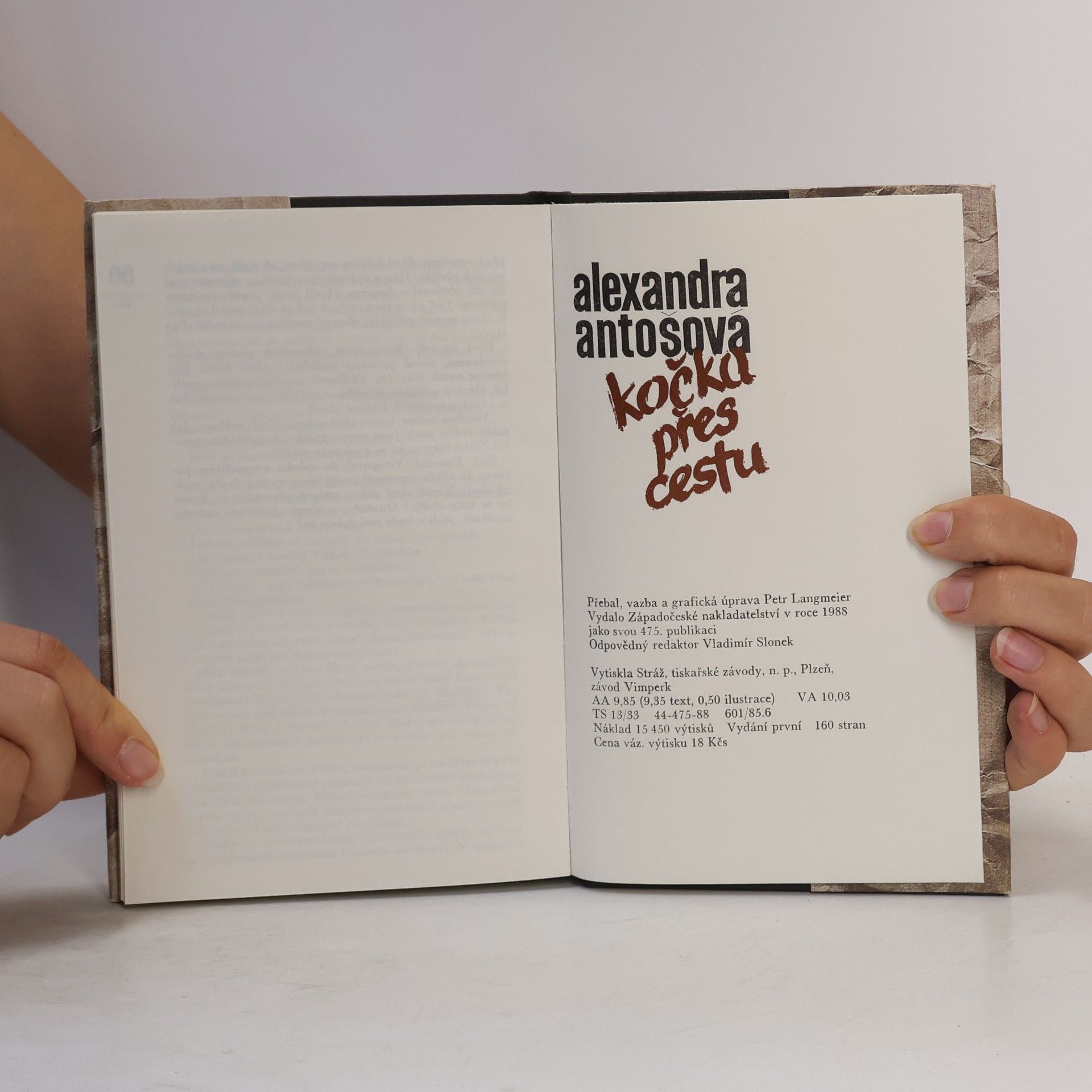 Alexandra Antošová Kočka přes cestu