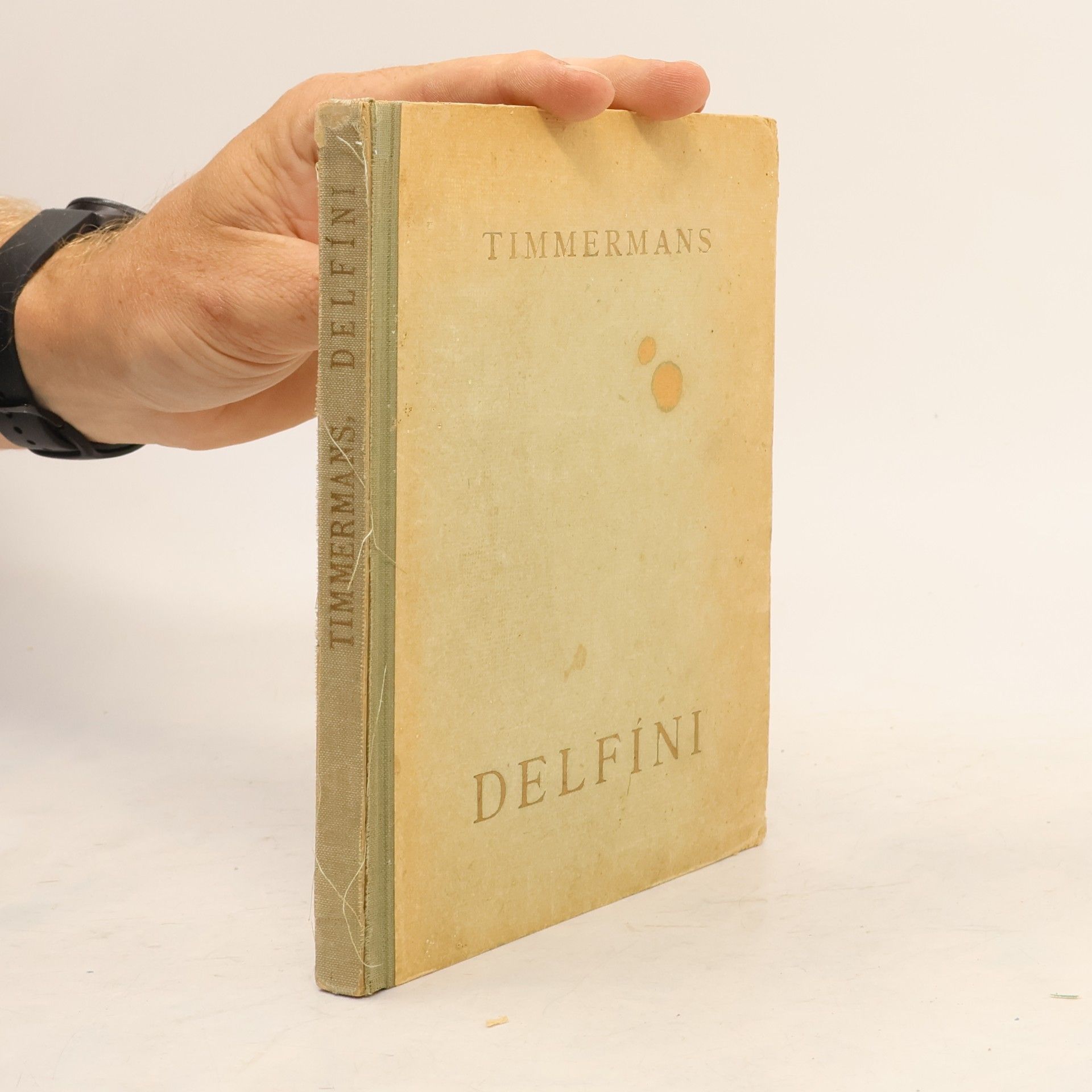 Felix Timmermans Delfíni