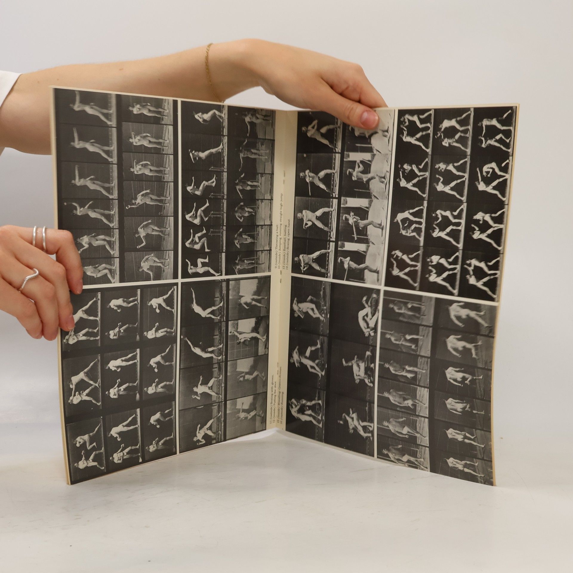 Eadweard Muybridge Human Figure in Motion Postcards