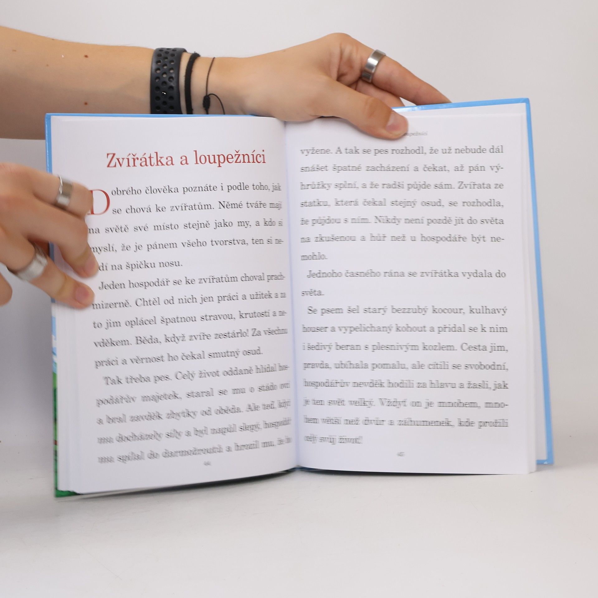 Autores varios Nejkrásnější české pohádky