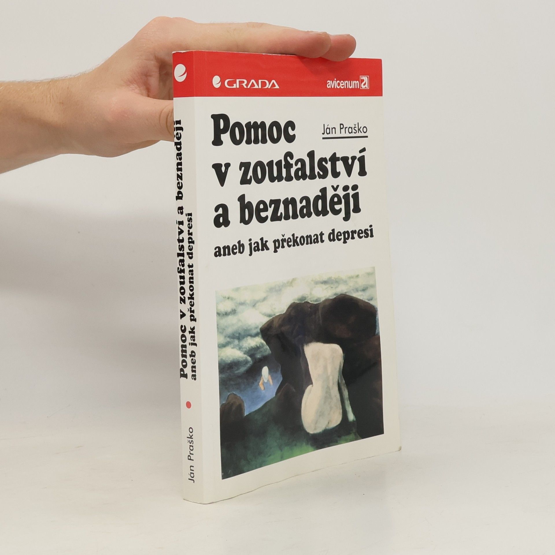 Pomoc v zoufalství a beznaději aneb Jak překonat depresi