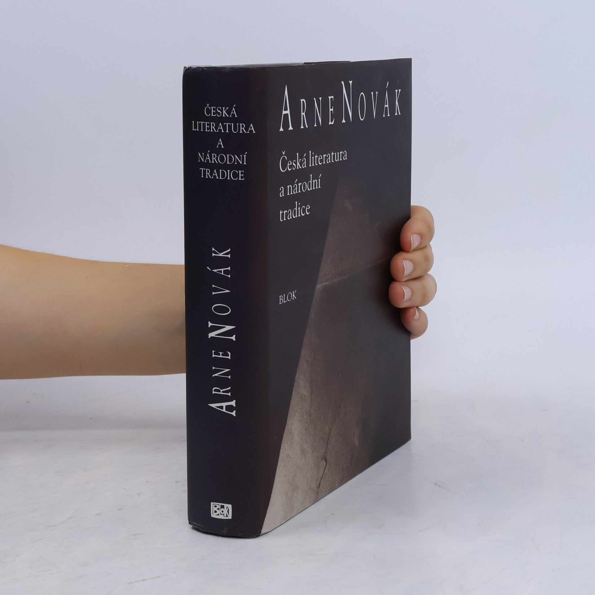 Česká literatura a národní tradice