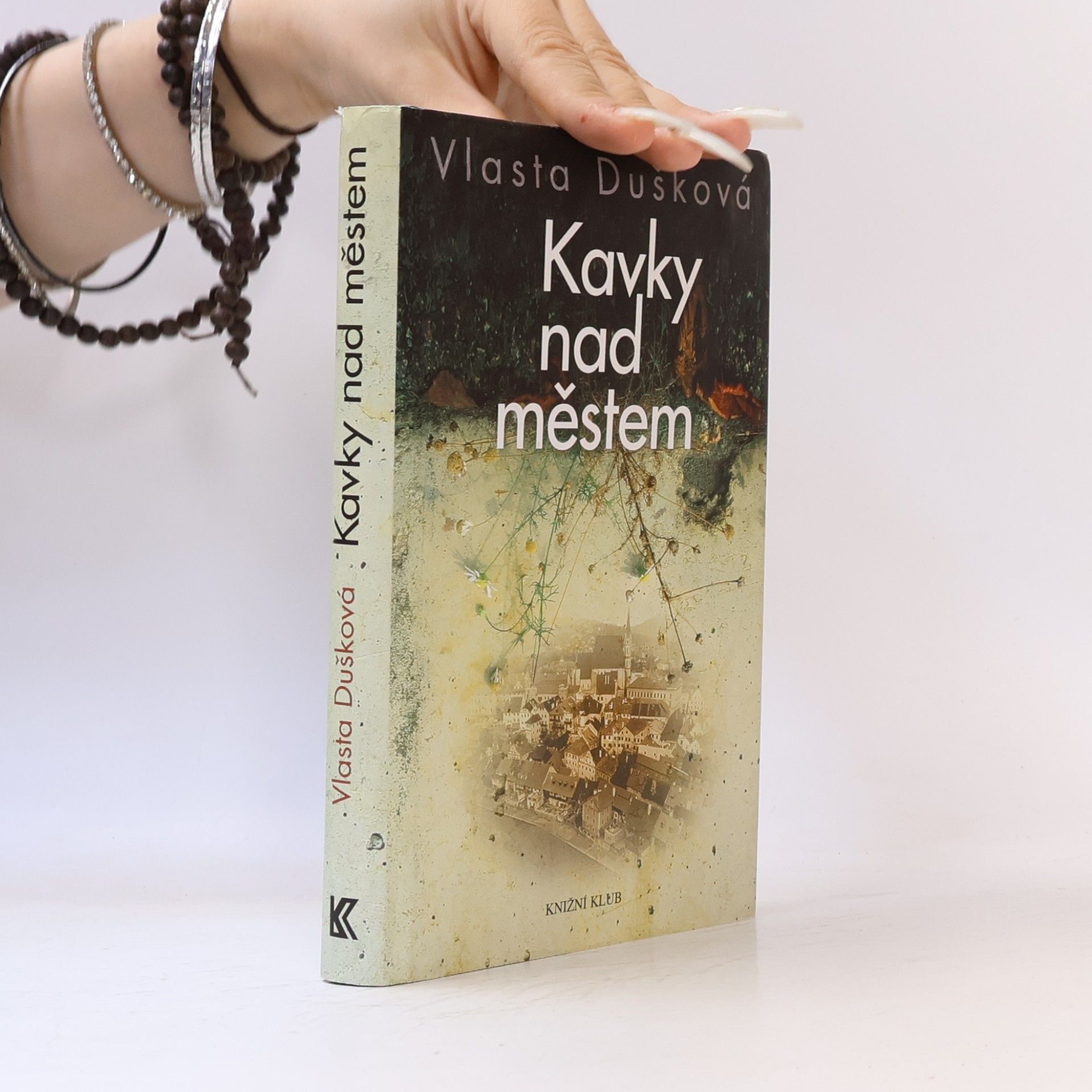Vlasta Dušková Kavky nad městem
