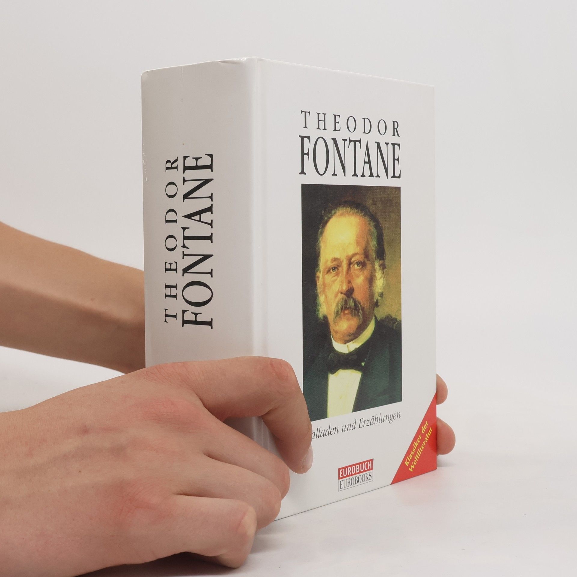 Theodor Fontane. Balladen und Erzählungen