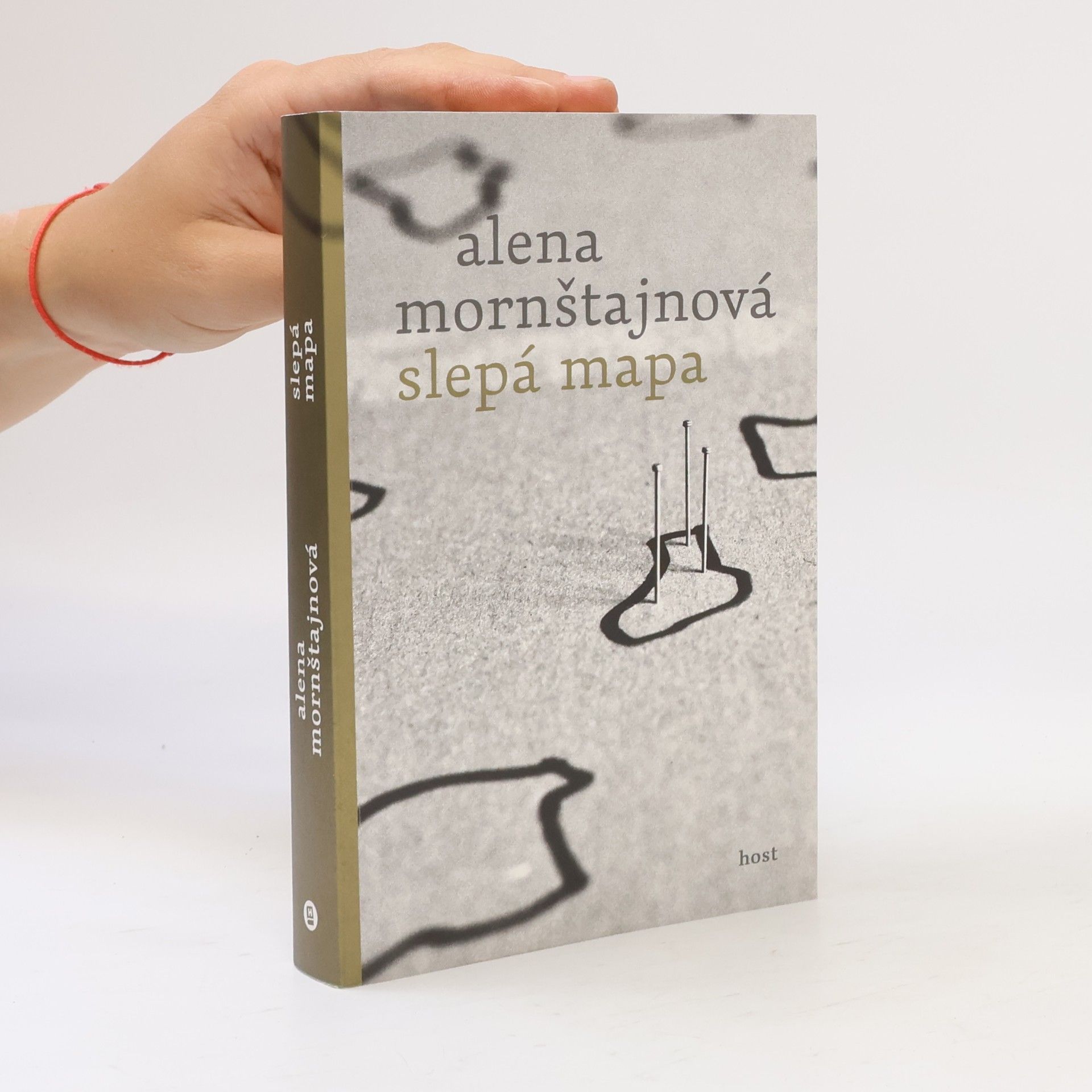 Alena Mornštajnová Slepá mapa
