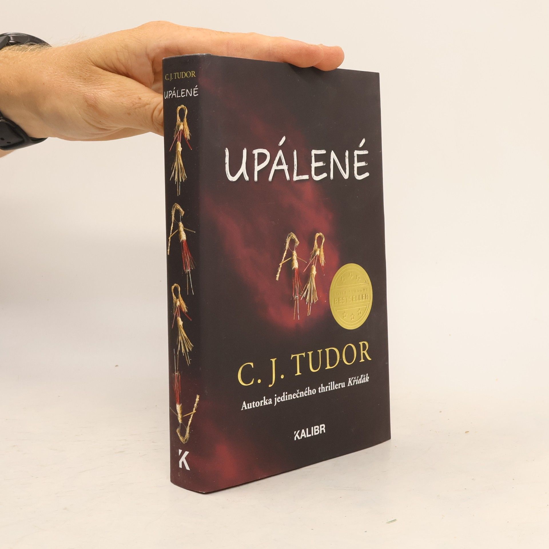 C.J. Tudor Upálené