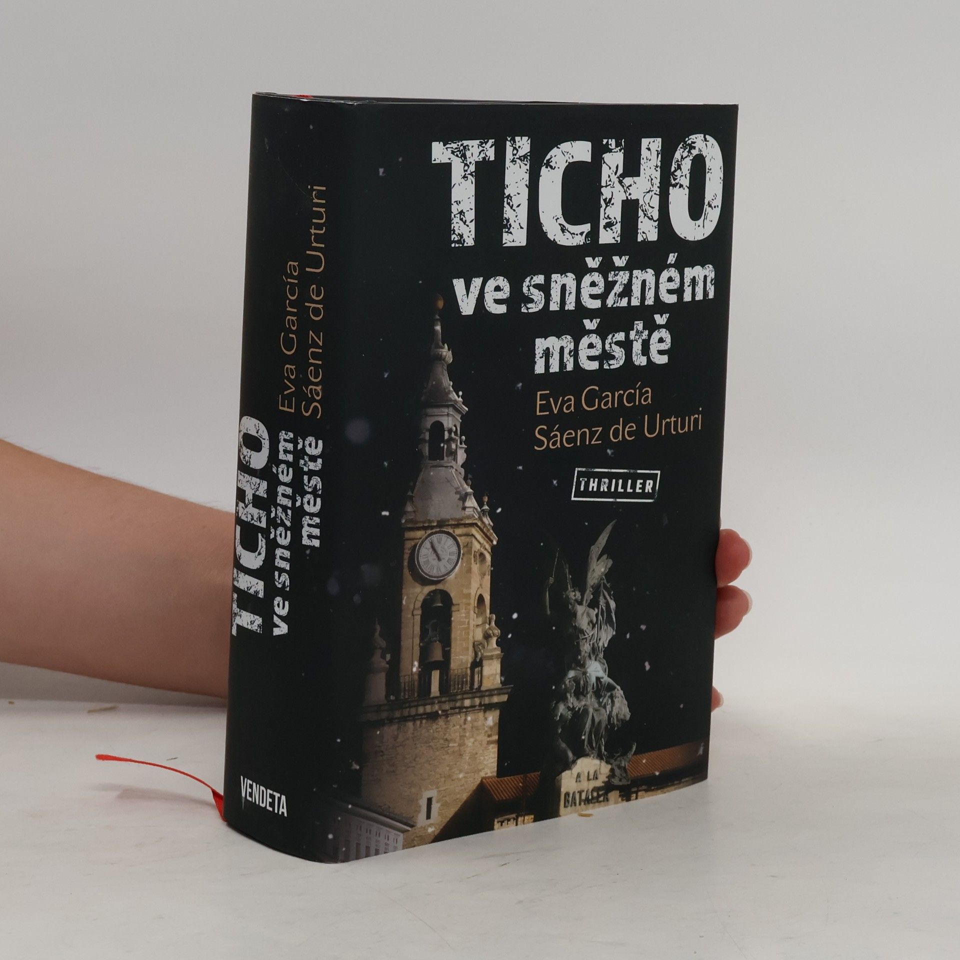 Eva García Sáenz Ticho ve sněžném městě