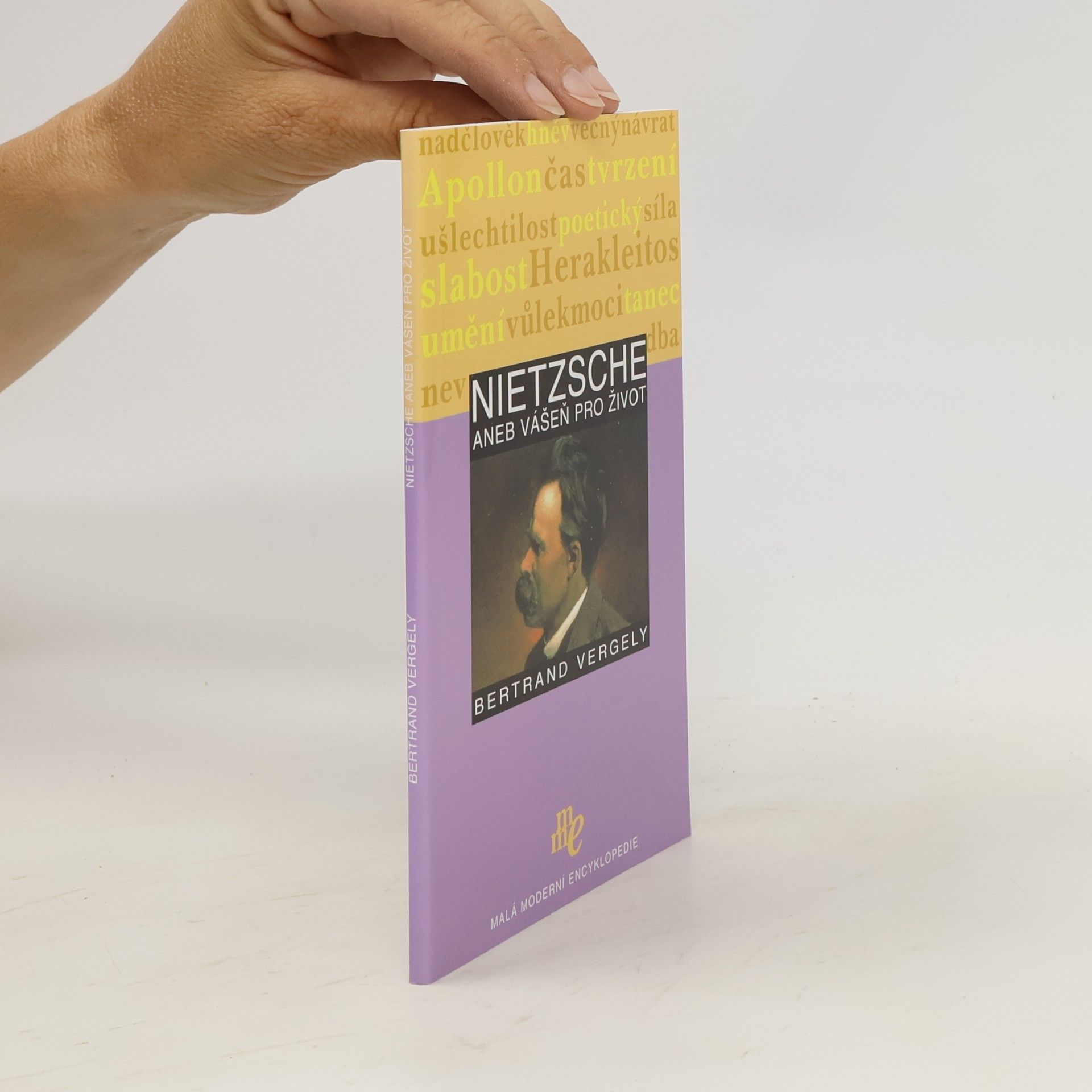 Bertrand Vergely Nietzsche aneb Vášeň pro život