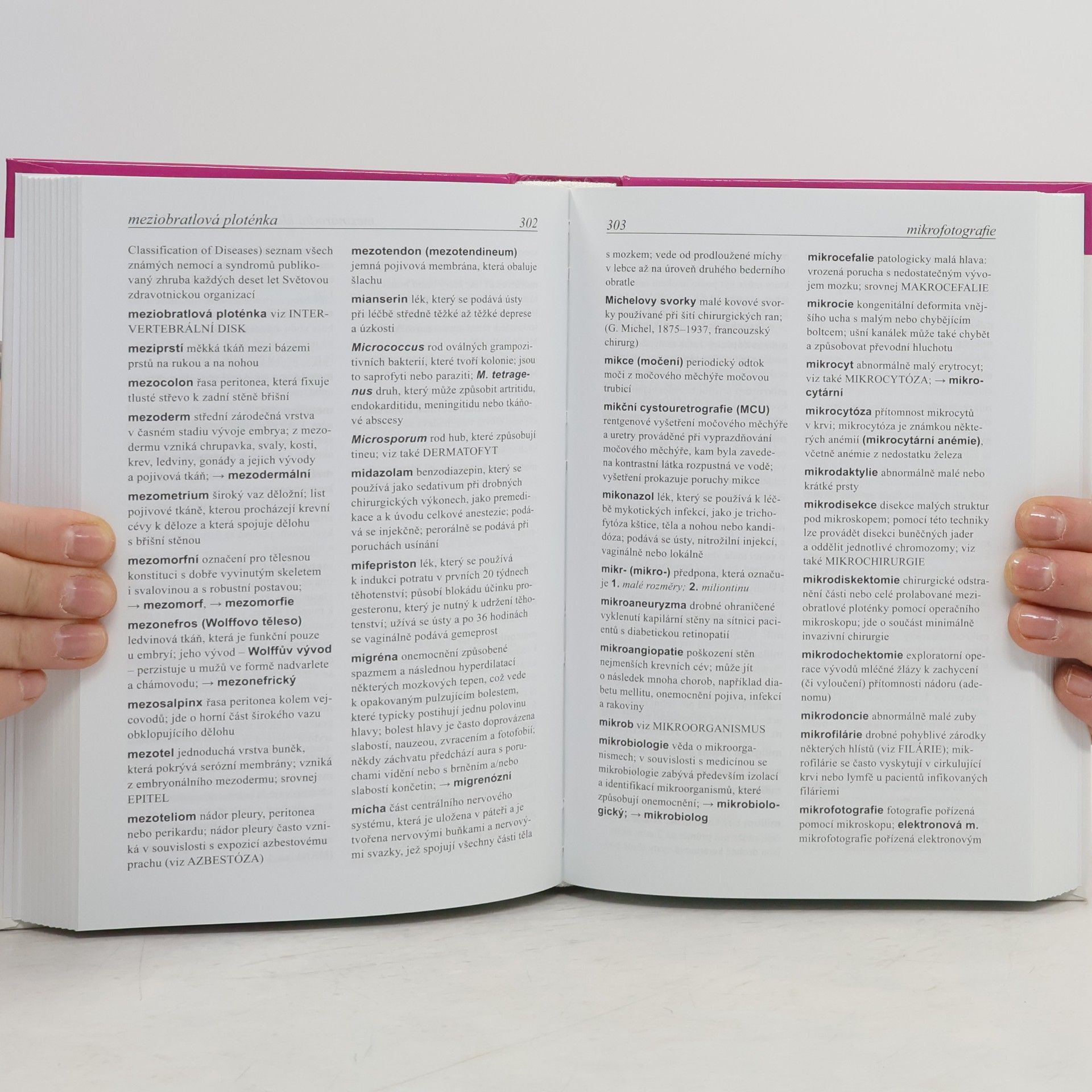 Various authors Výkladový ošetřovatelský slovník