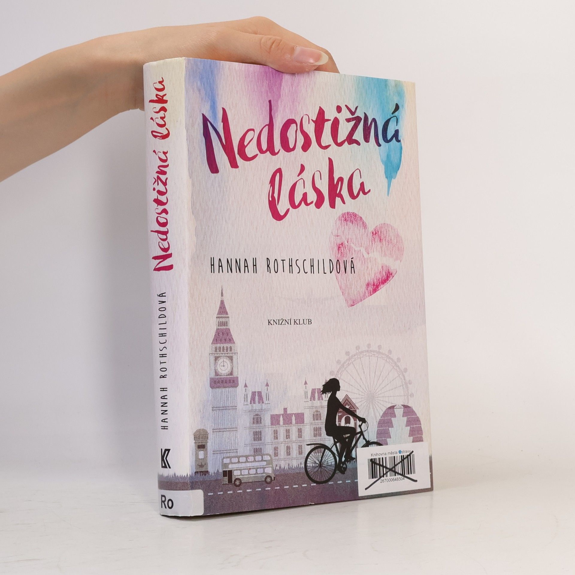 Hannah Rothschild Nedostižná láska
