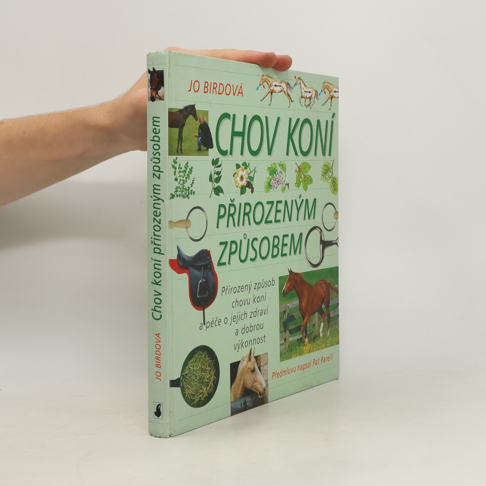 Jo Bird Chov koní přirozeným způsobem