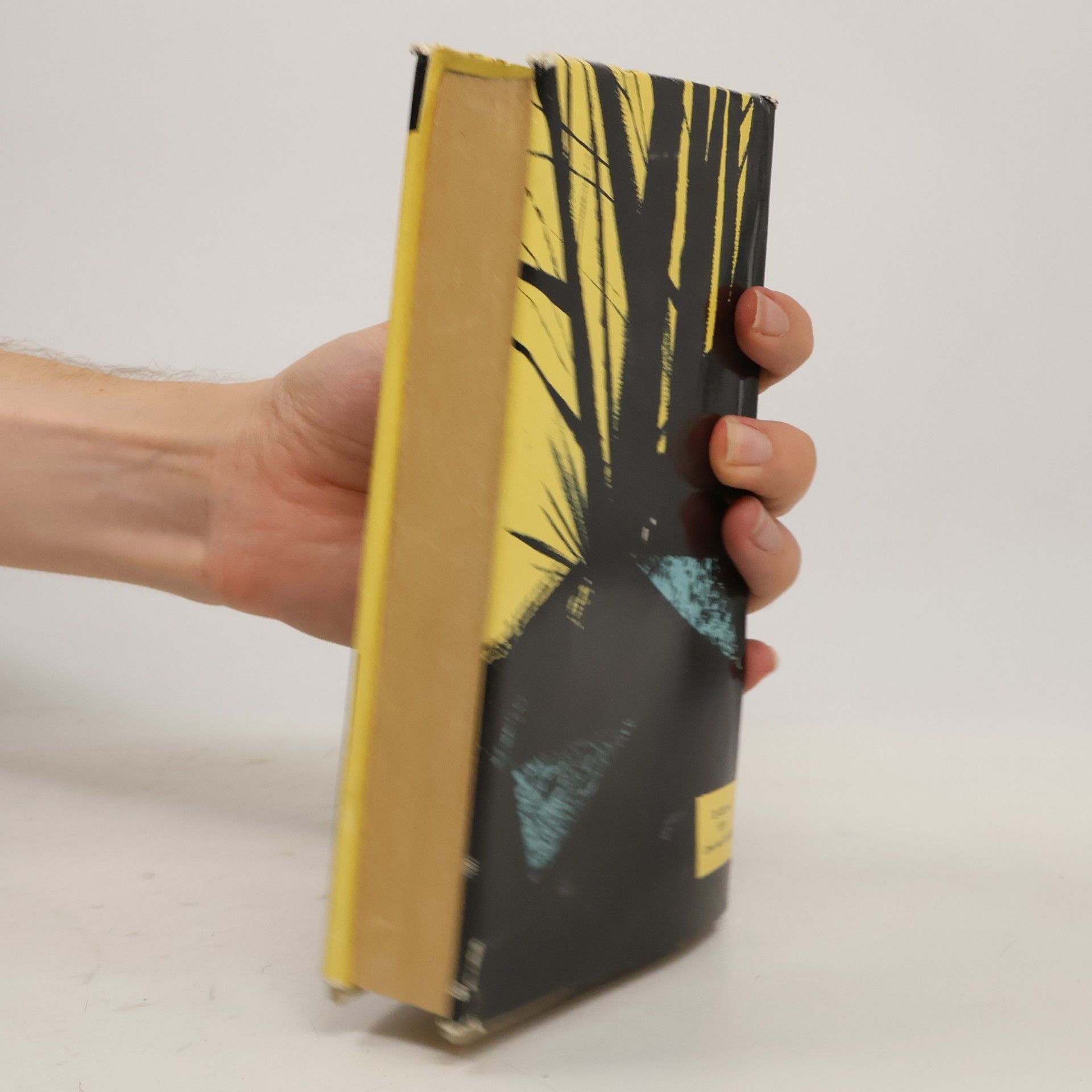 Xavier Herbert Rajské peklo