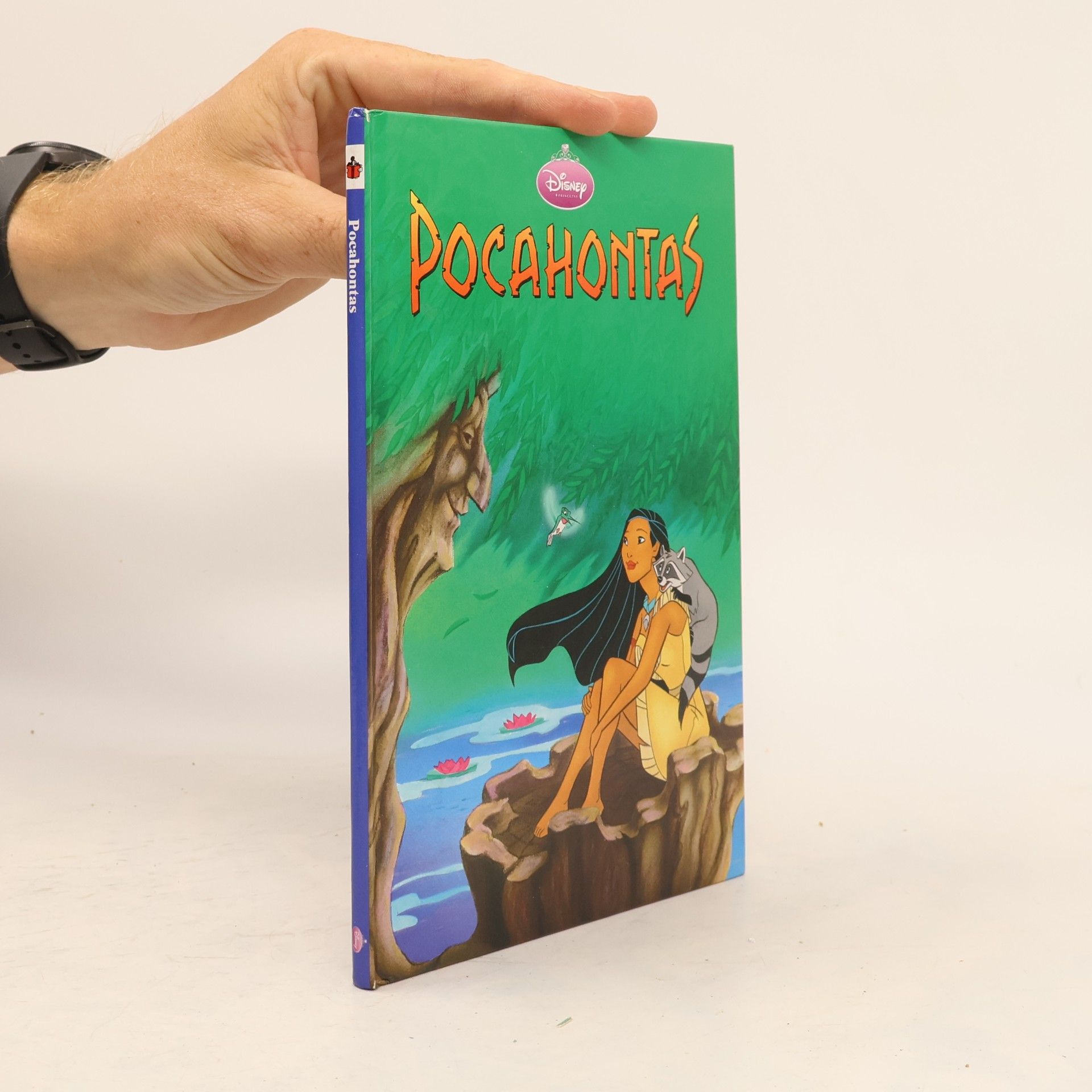 Walt Disney Pocahontas