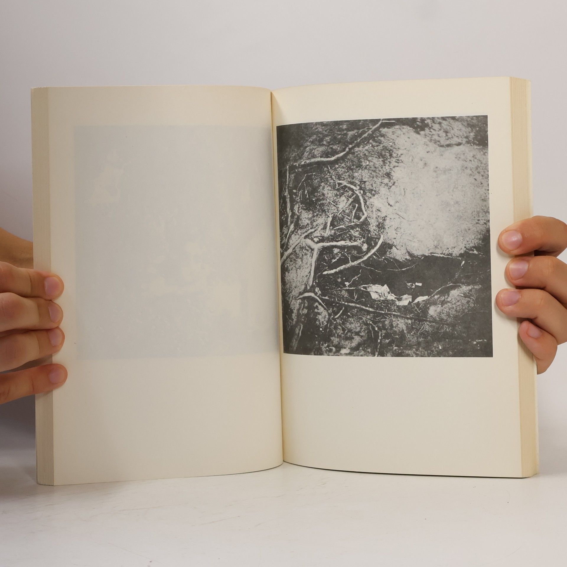 Annette Moussu Jindřich Štýrský: fotografické dílo