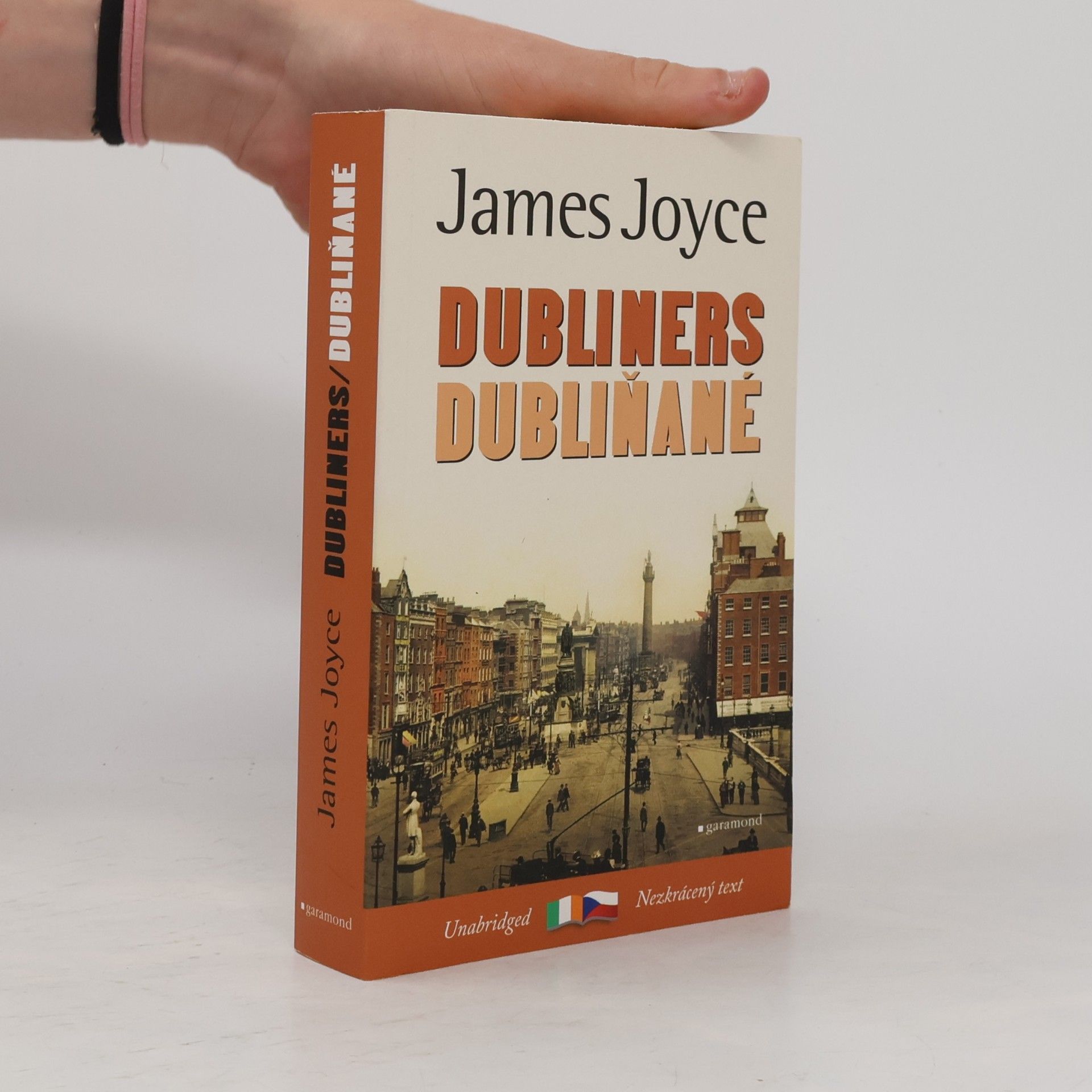 James Joyce Dubliners / Dubliňané