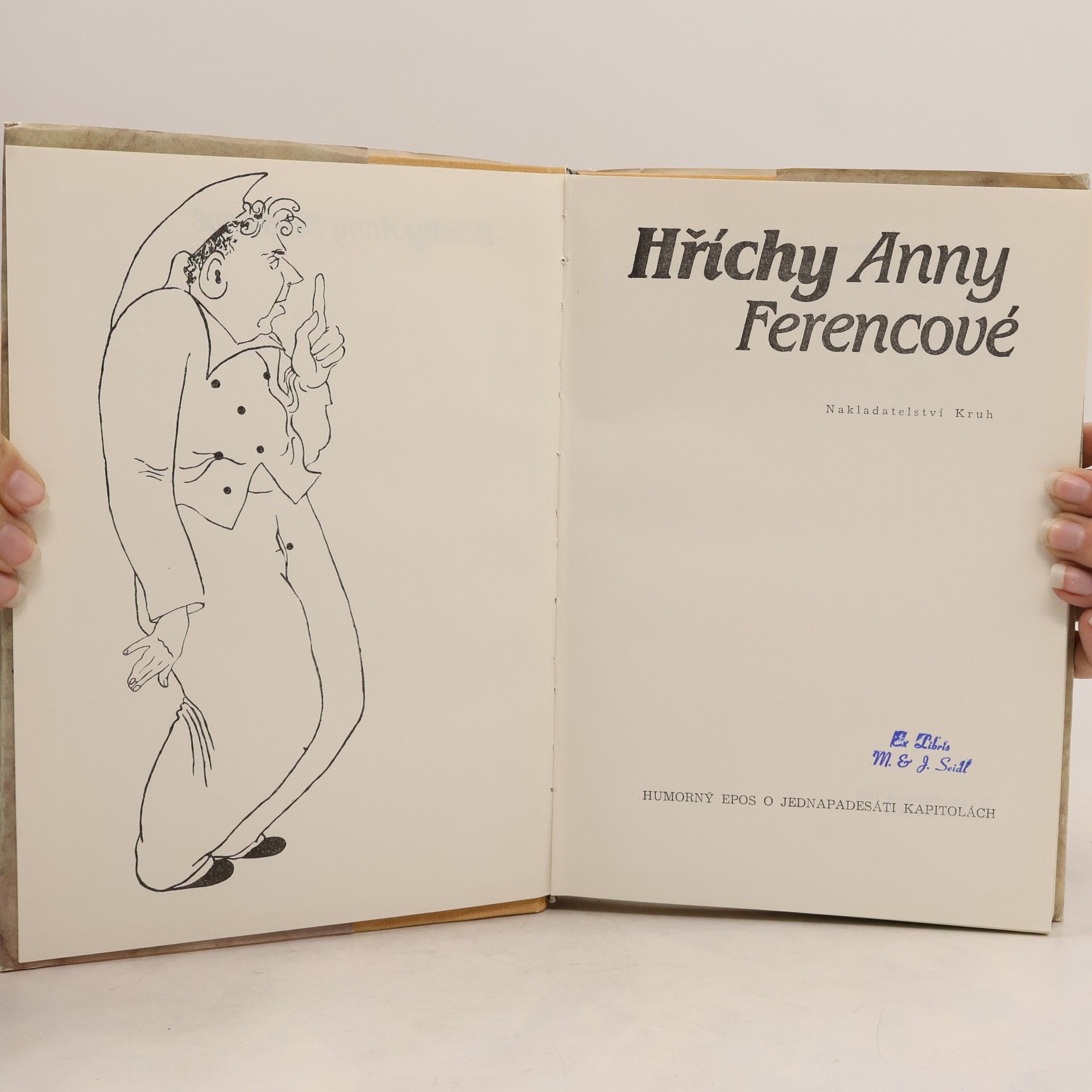 Anna Ferencová Hříchy Anny Ferencové