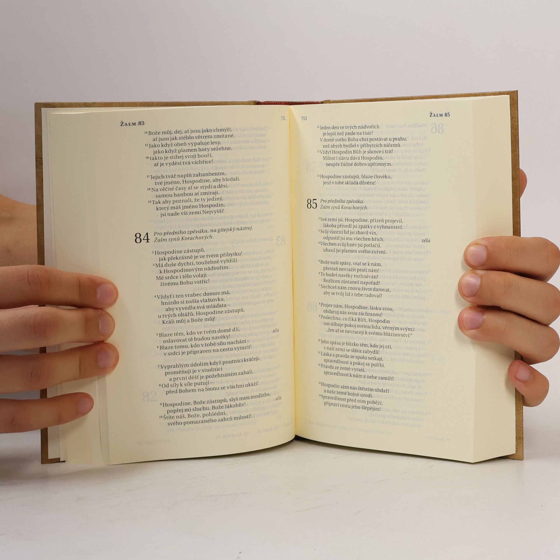 Kolektiv autorů Bible. Překlad 21. století