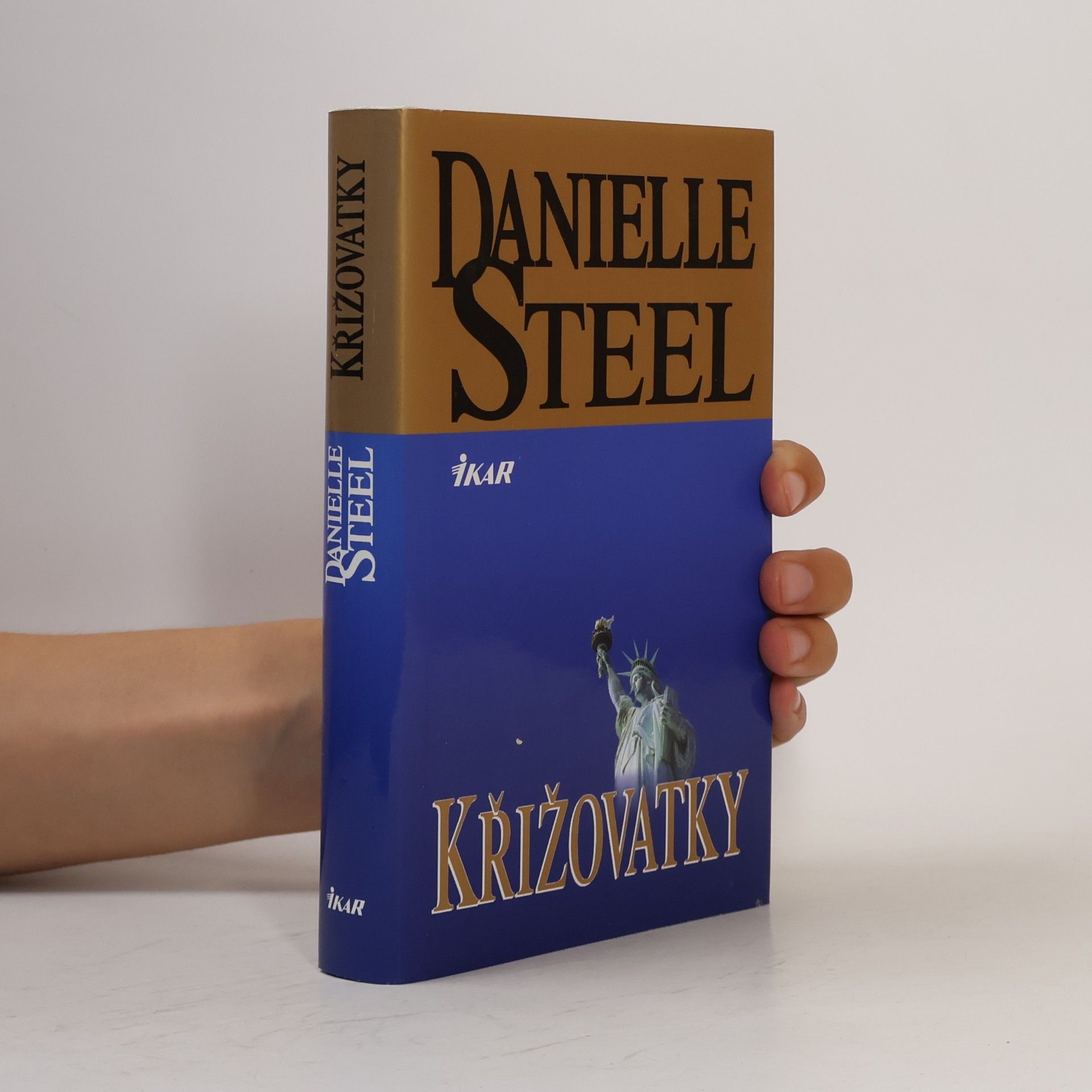 Danielle Steel Křižovatky