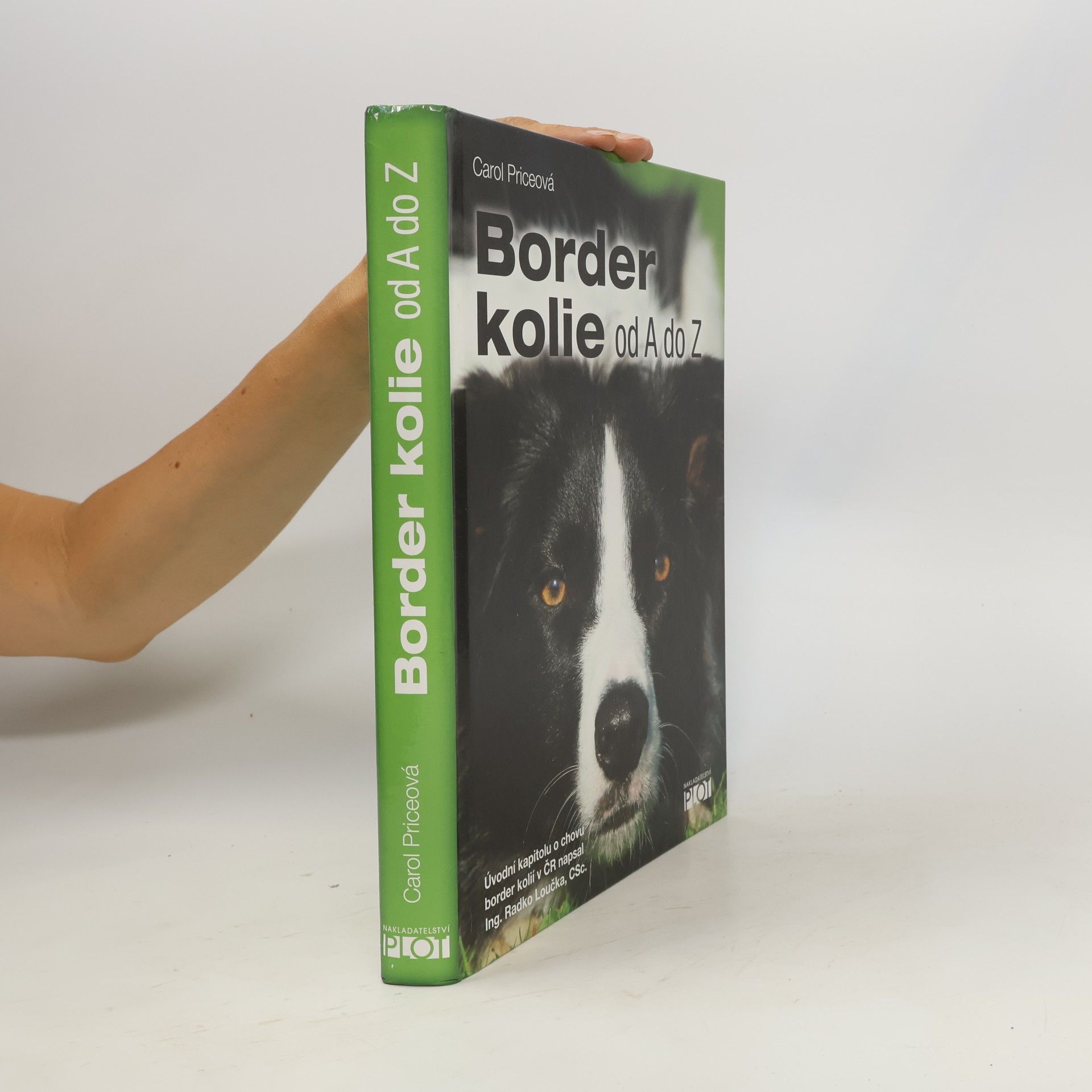 Carol Price Border kolie od A do Z