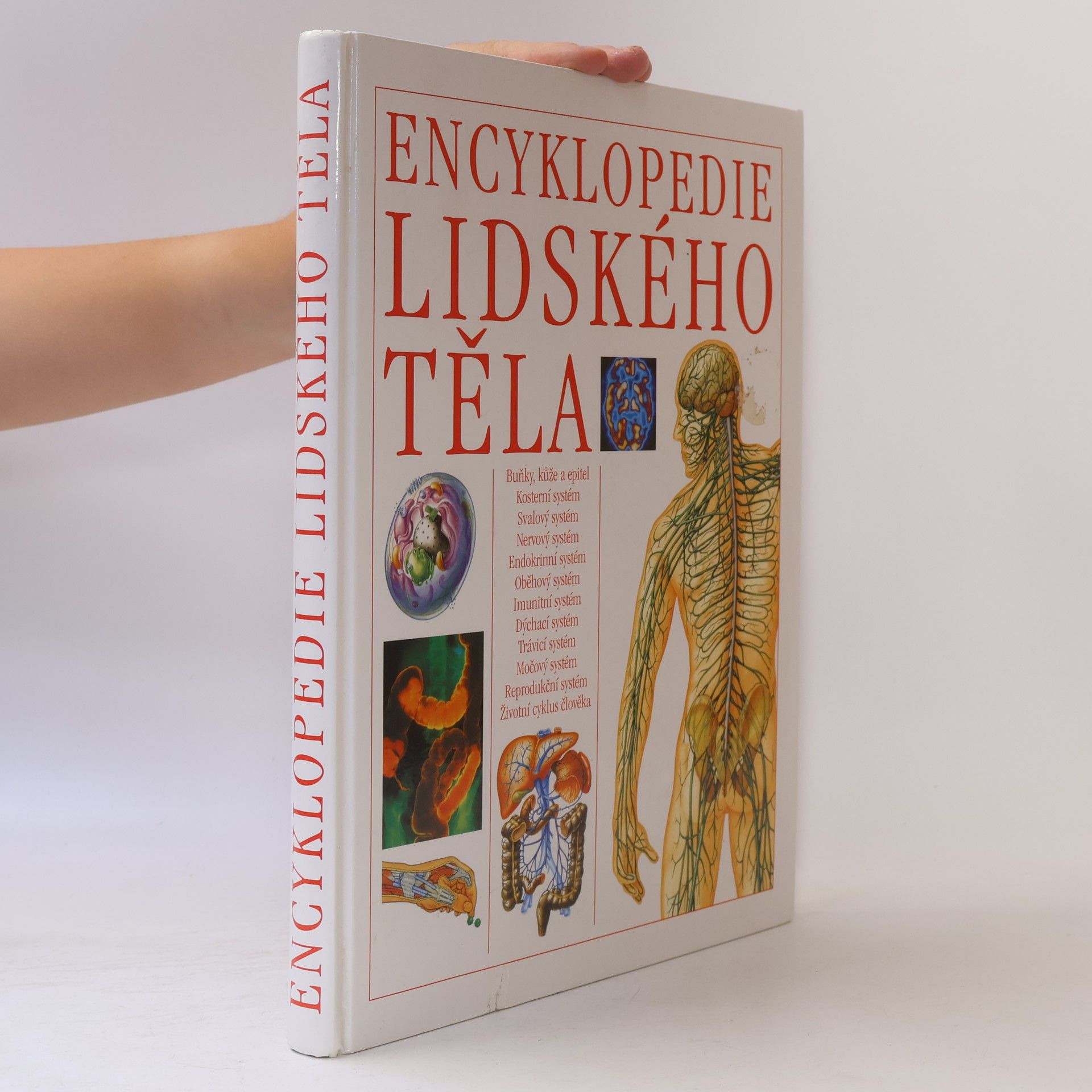 Eugen Fales Encyklopedie lidského těla: Ilustrovaný průvodce jeho stavbou, funkcí a některými poruchami