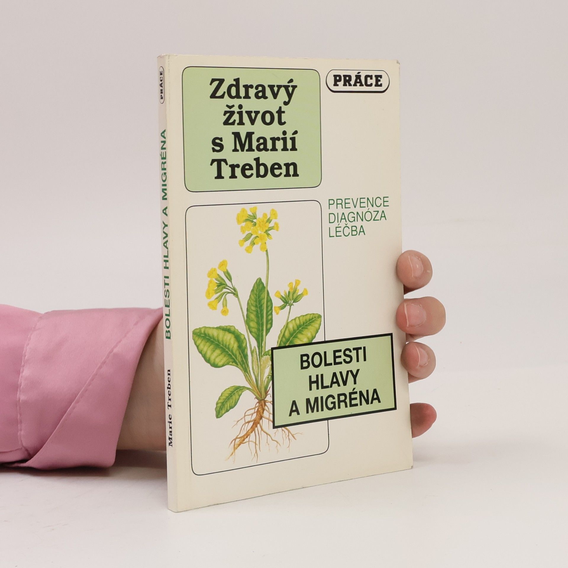 Maria Treben Bolesti hlavy a migréna