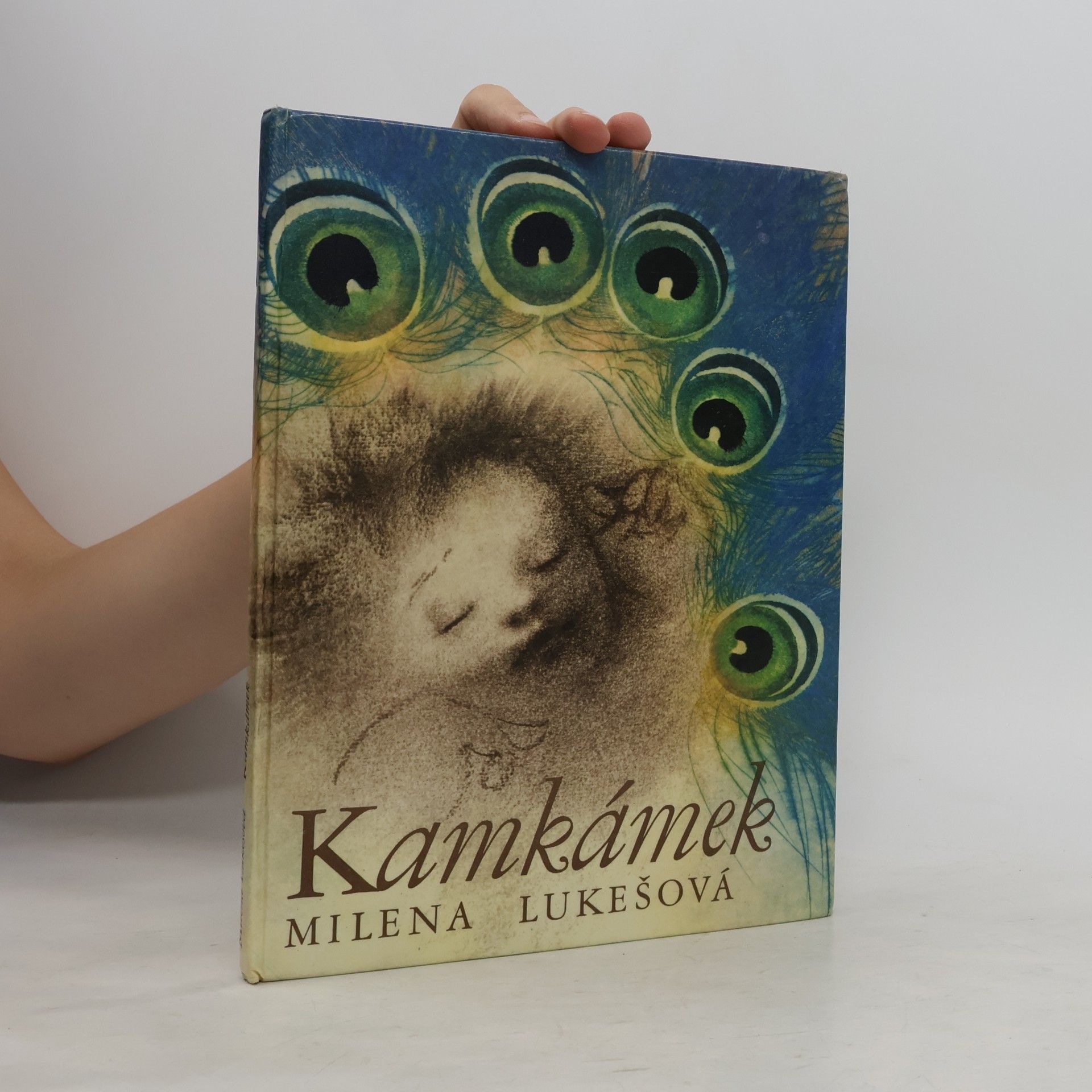 Milena Lukešová Kamkámek