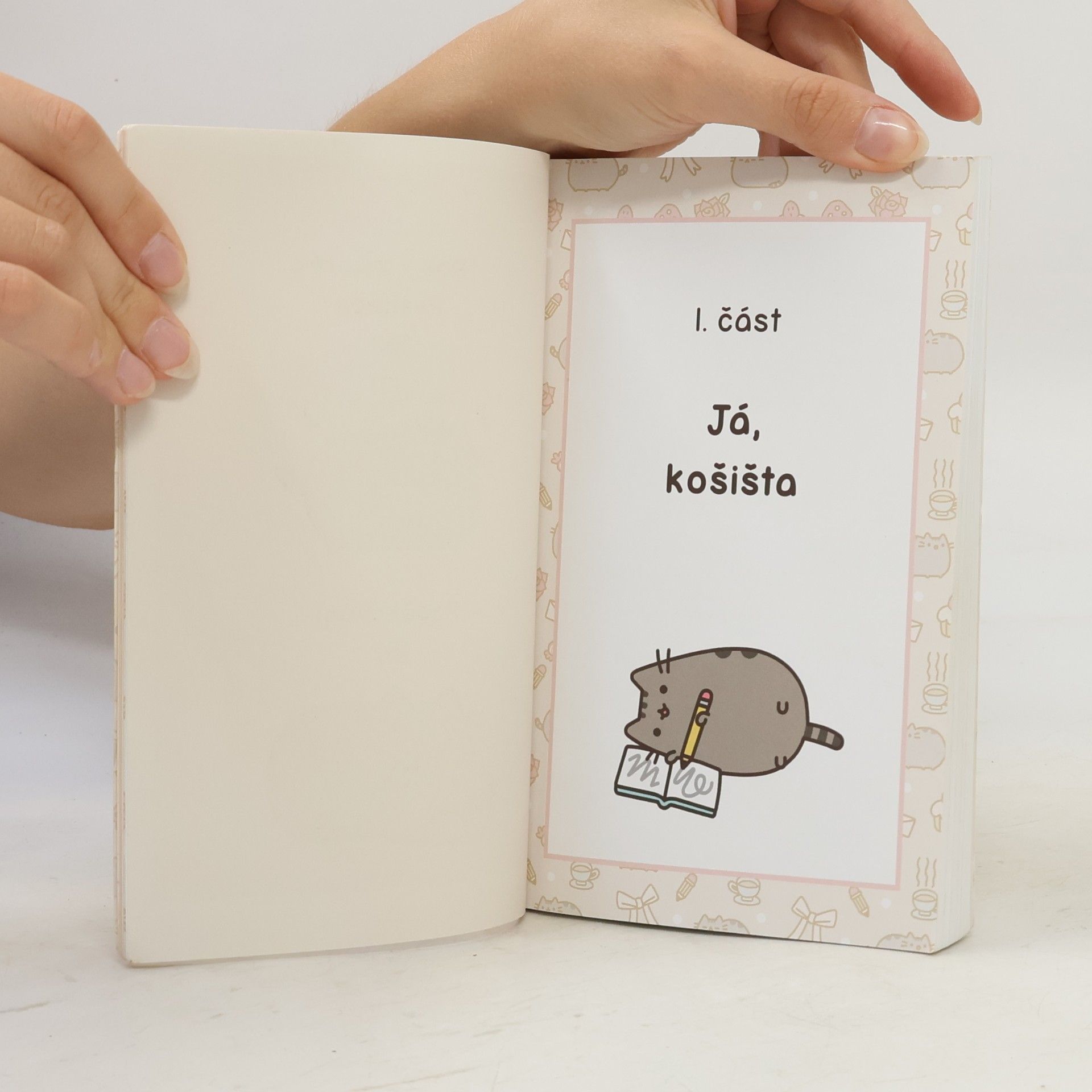 Claire Belton Pusheen. Já, košišta