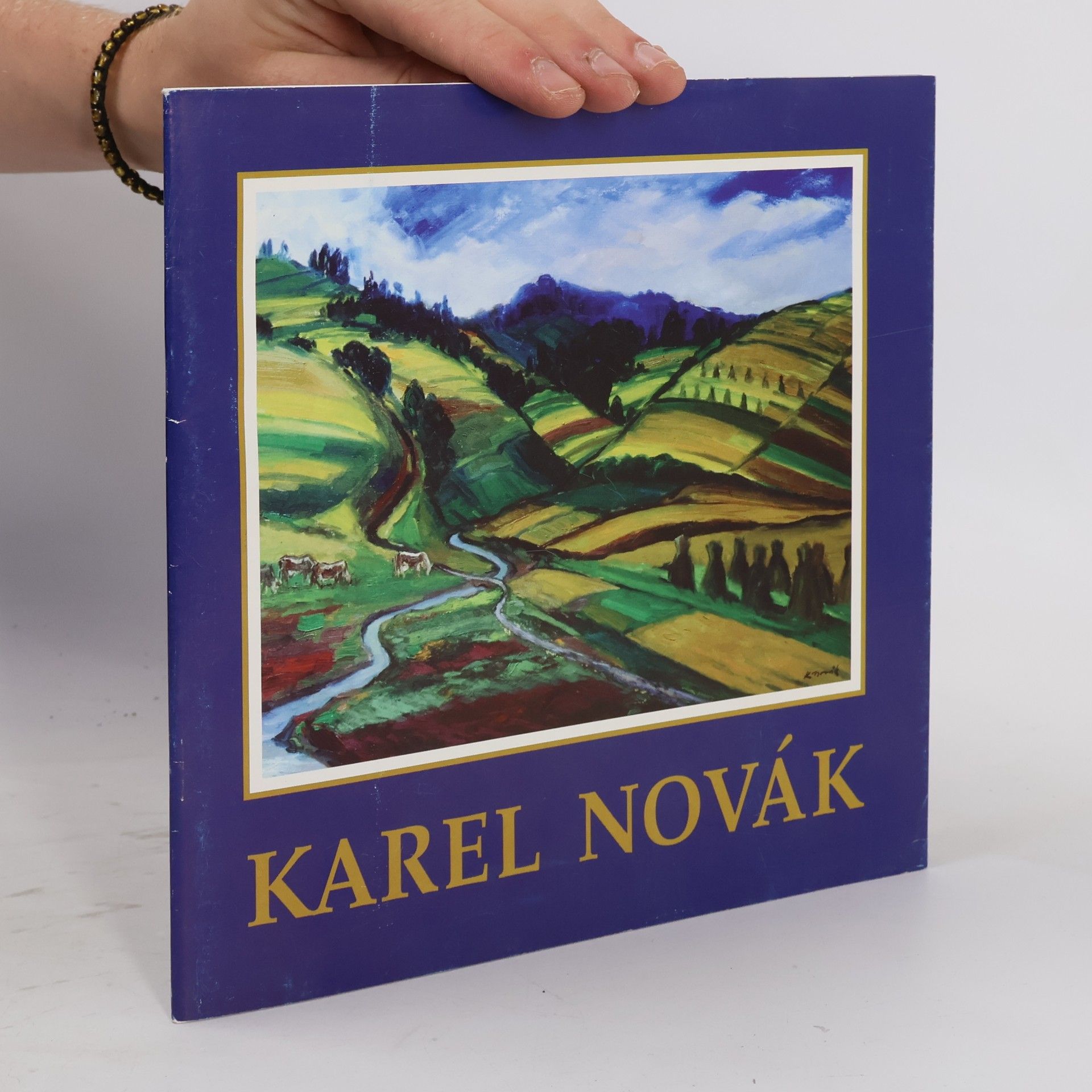 Karel Novák
