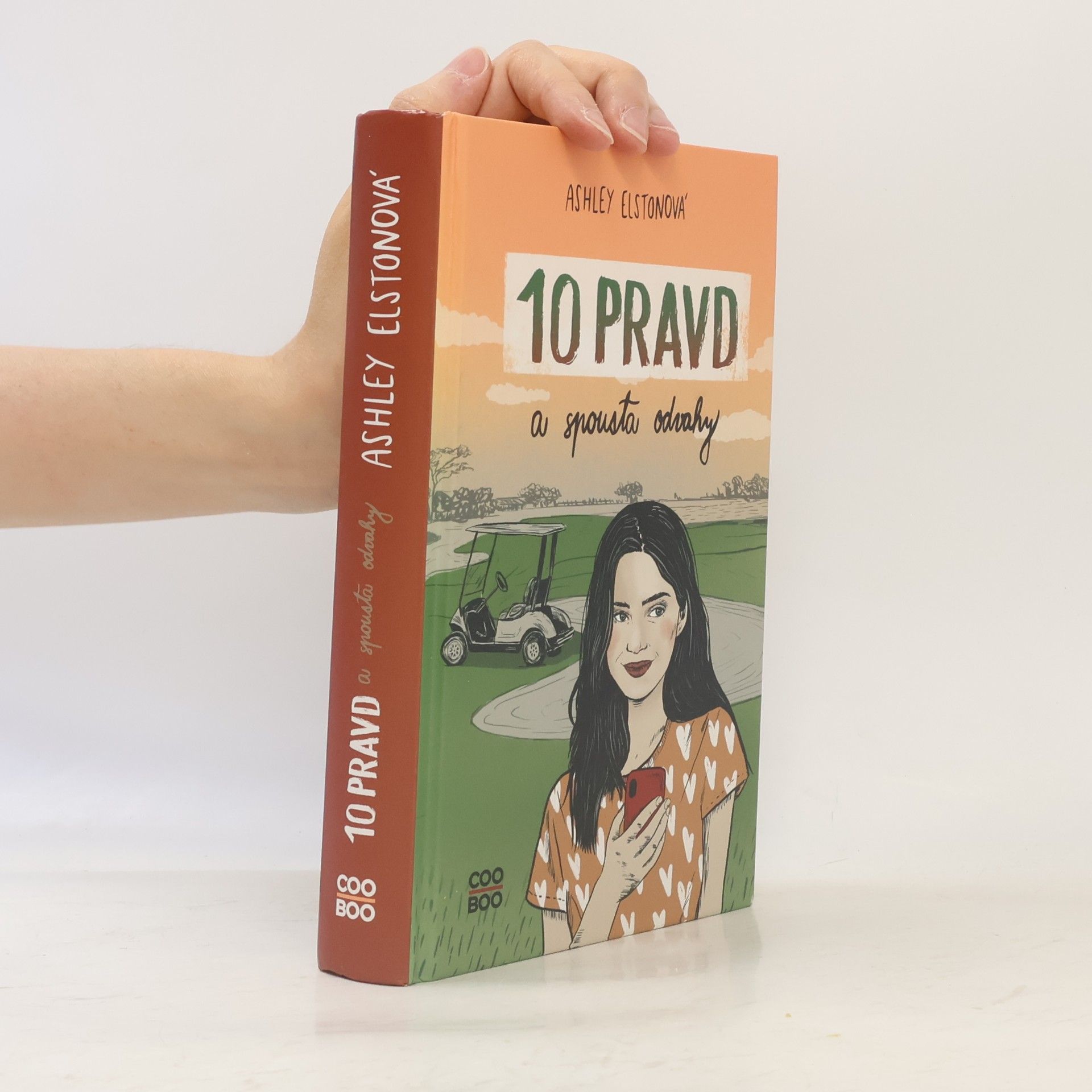 Ashley Elston 10 pravd a spousta odvahy
