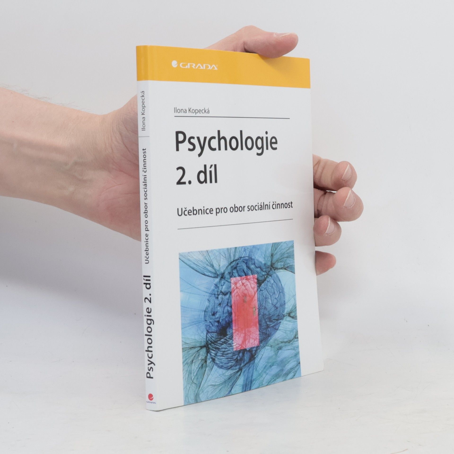 Ilona Kopecká Psychologie : učebnice pro obor sociální činnost. 2. díl