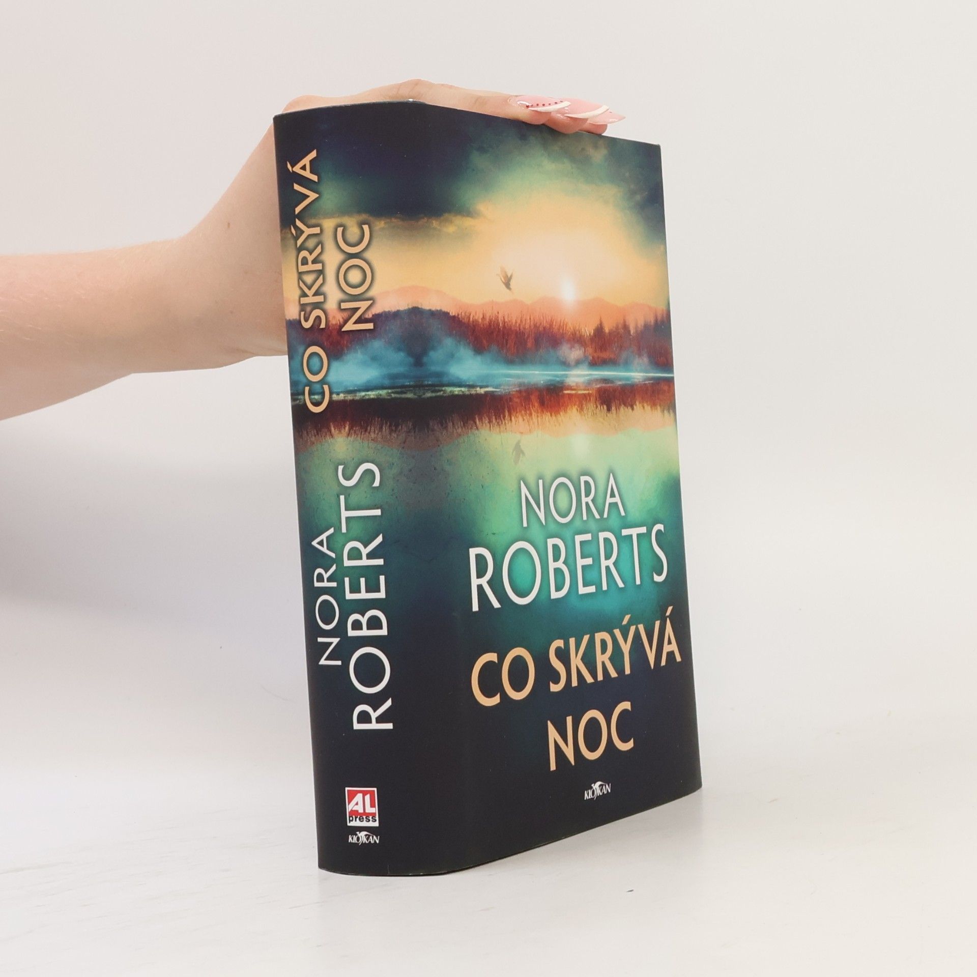 Nora Roberts Co skrývá noc