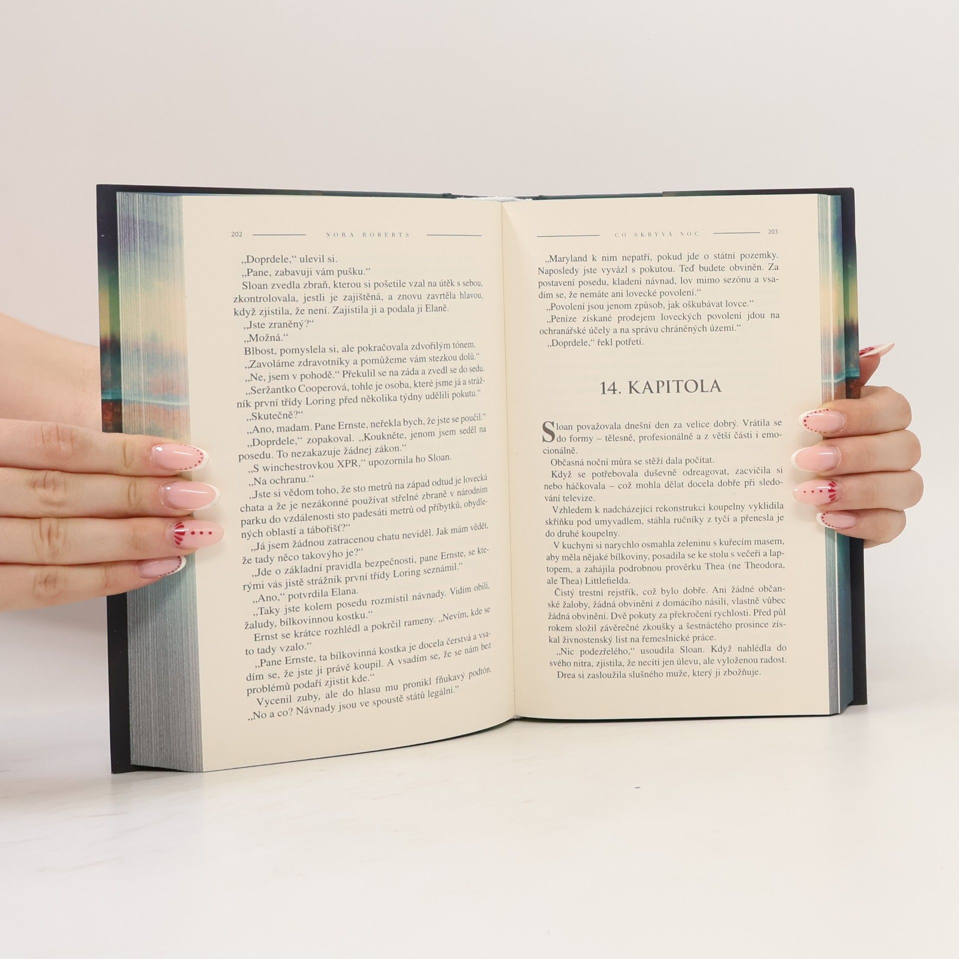 Nora Roberts Co skrývá noc