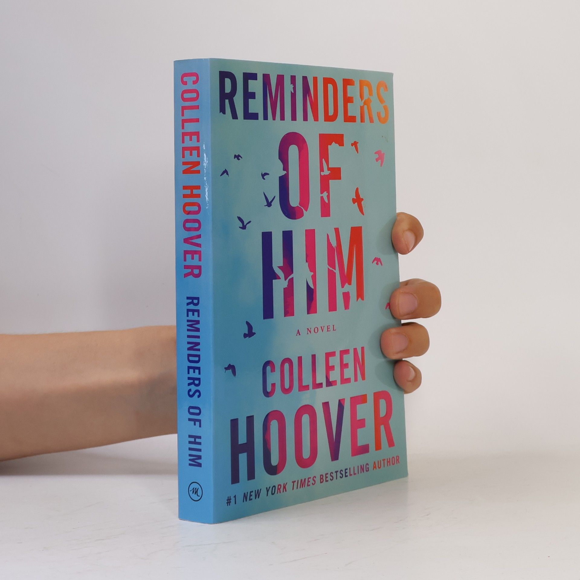Colleen Hoover Reminders of him