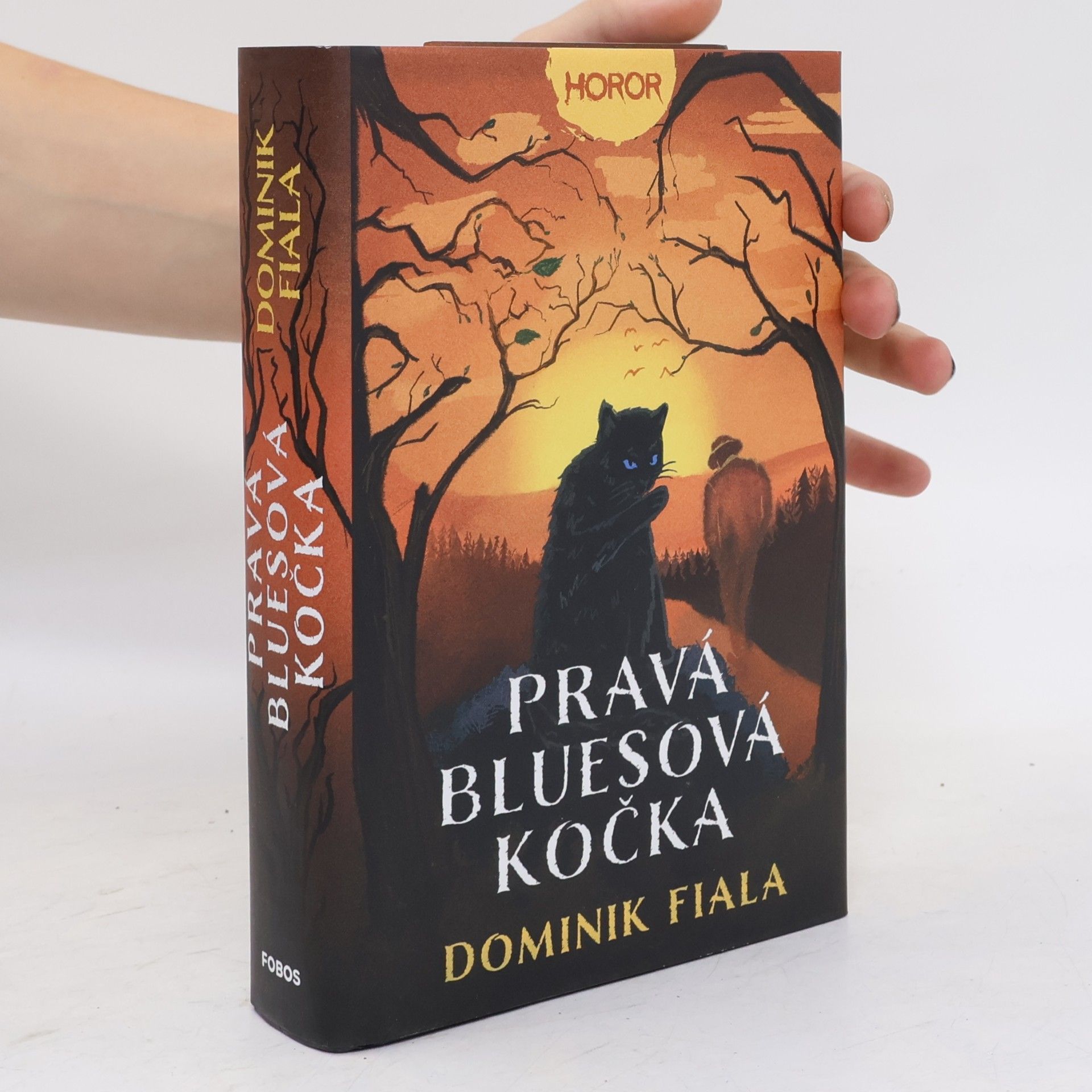 Dominik Fiala Pravá bluesová kočka