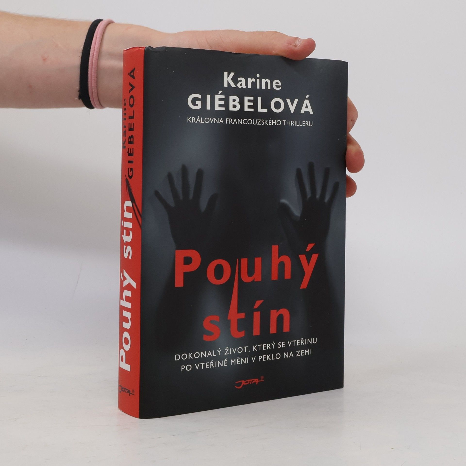 Karine Giebel Pouhý stín