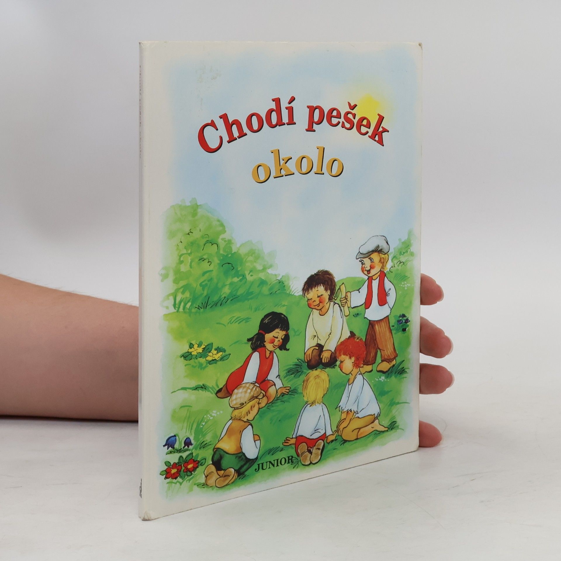 Vladimíra Vopičková Chodí pešek okolo (leporelo)