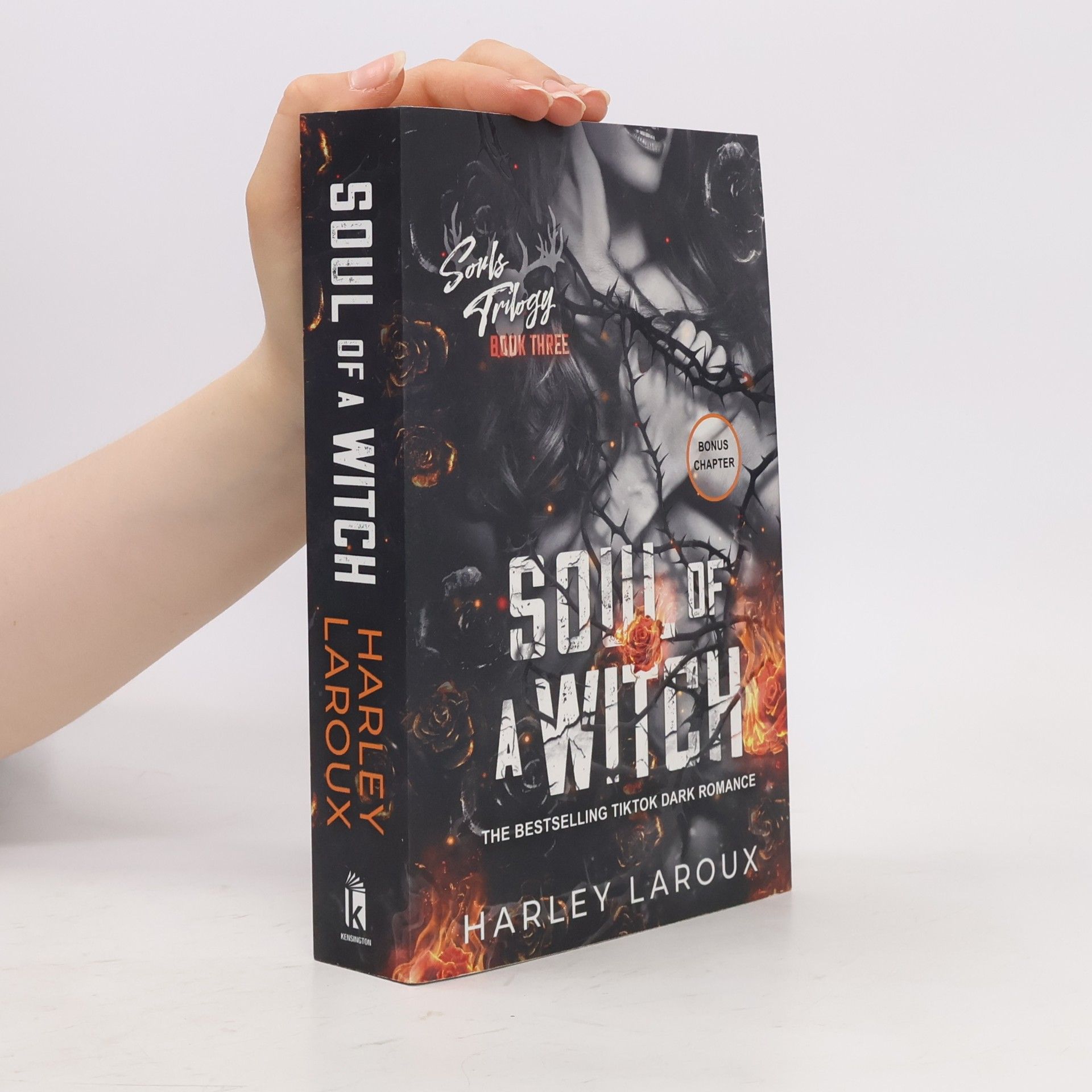 Harley Laroux Soul of a Witch: A Spicy Dark Demon Romance
