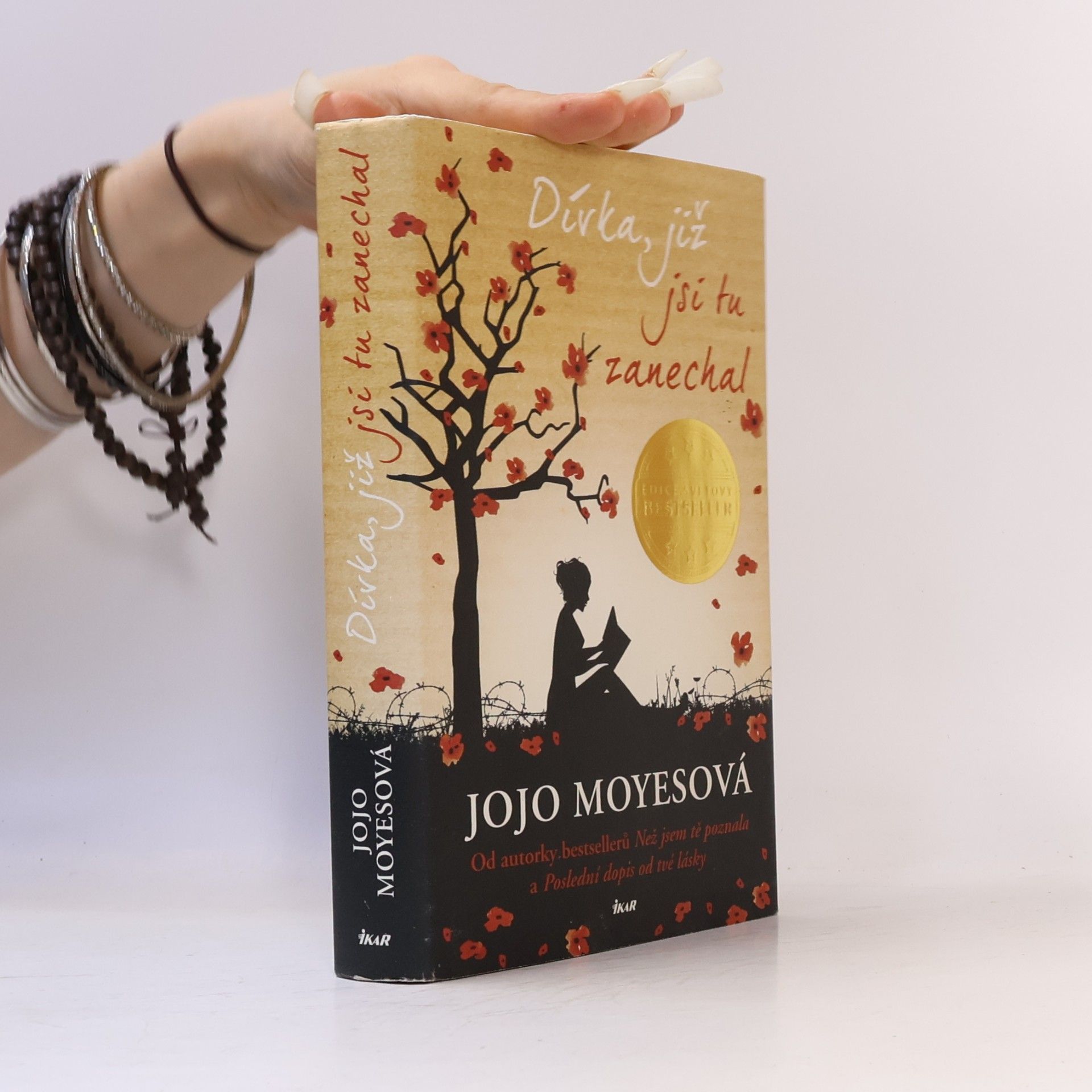 Jojo Moyes Dívka, již jsi tu zanechal