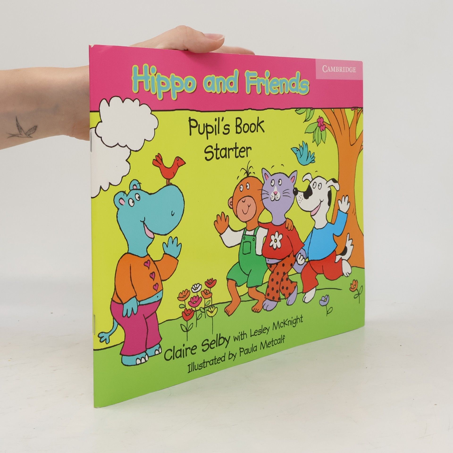 Lesley Mcknight Hippo and Friends: Pupil's Book Starter