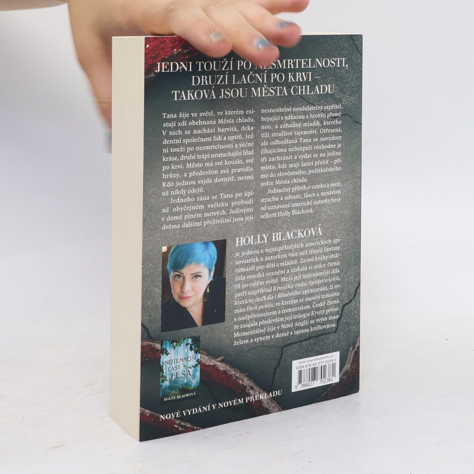 Holly Black Nejchladnější dívka ve městě chladu