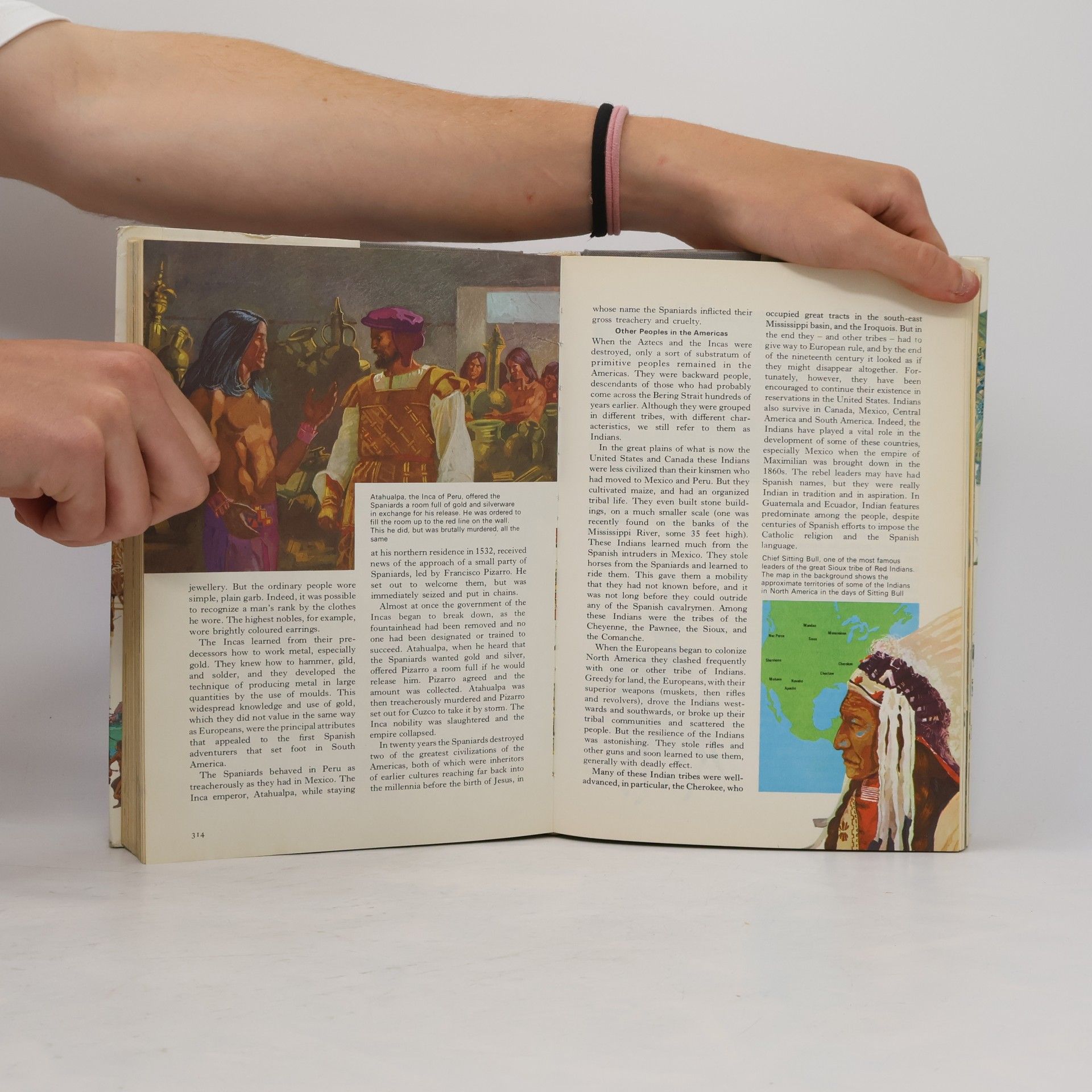Plantagenet Somerset Fry The History of the World