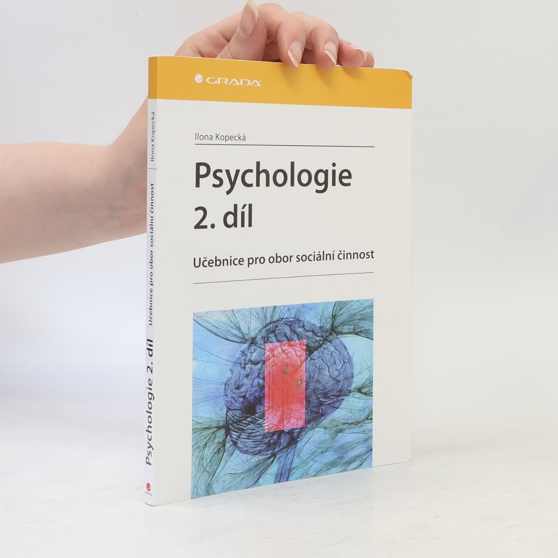 Ilona Kopecká Psychologie : učebnice pro obor sociální činnost. 2. díl