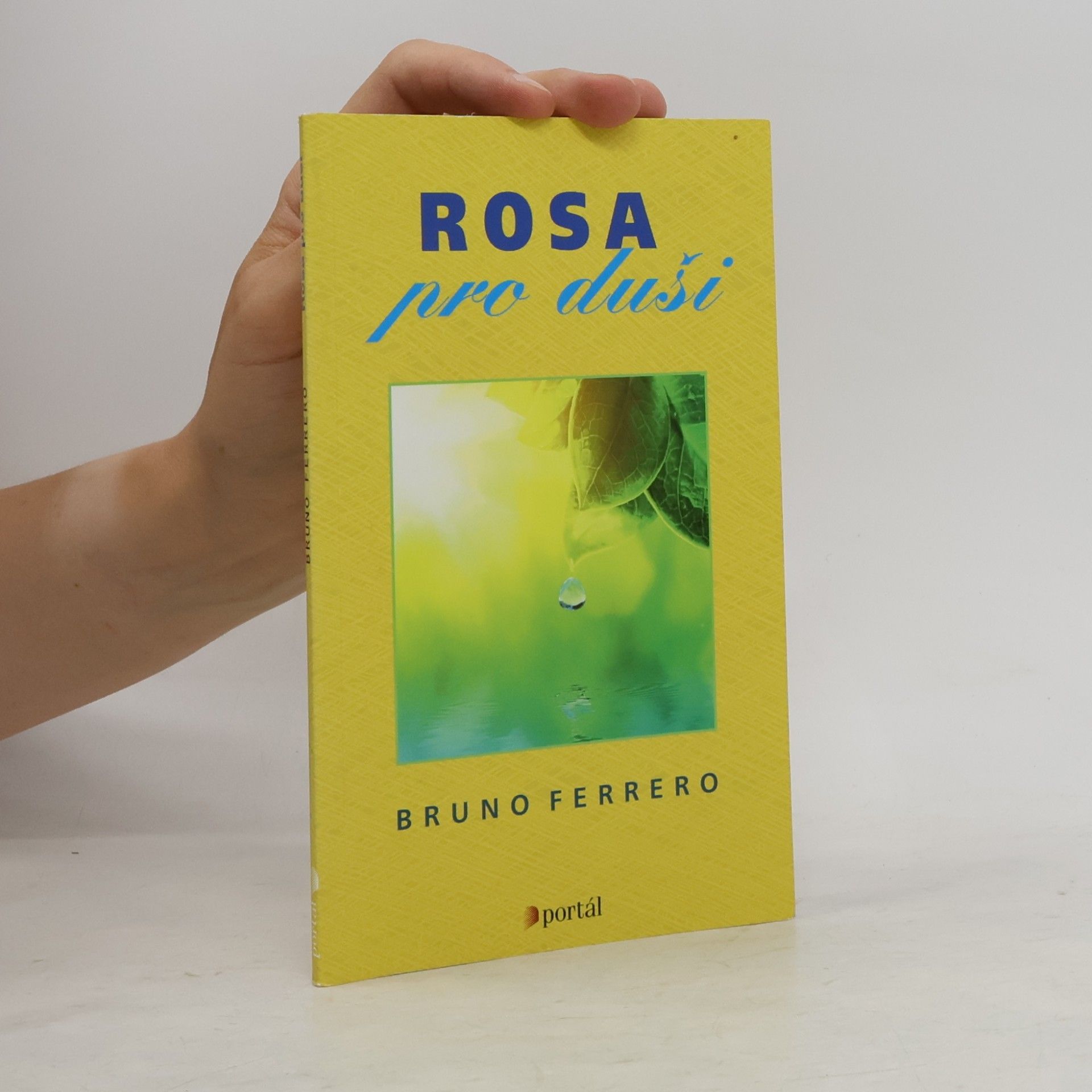 Bruno Ferrero Rosa pro duši
