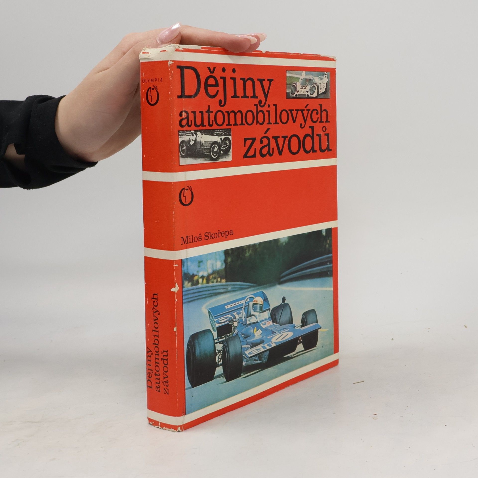 Miloš Skořepa Dějiny automobilových závodů