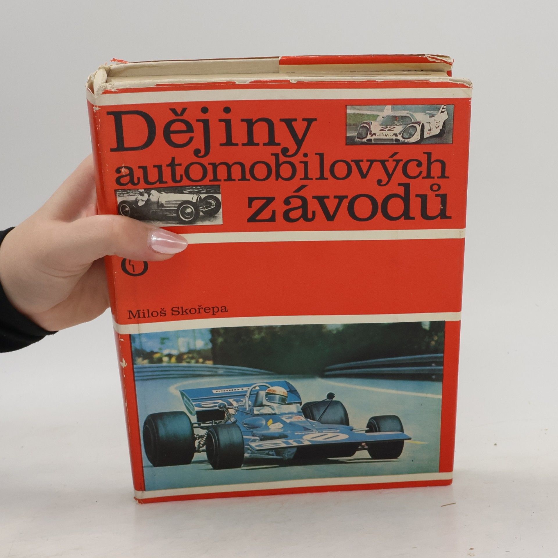 Miloš Skořepa Dějiny automobilových závodů