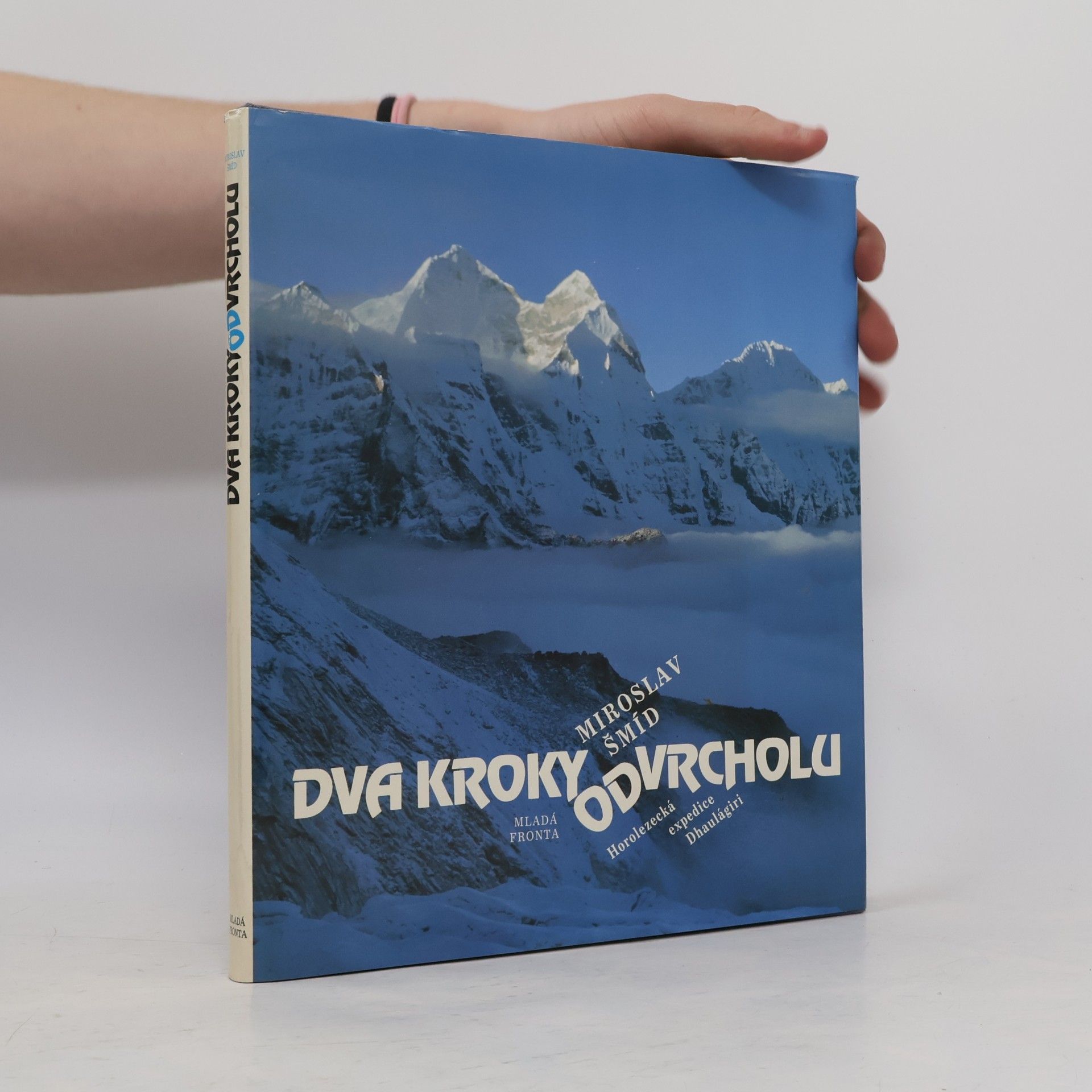 Miroslav Šmíd Dva kroky od vrcholu