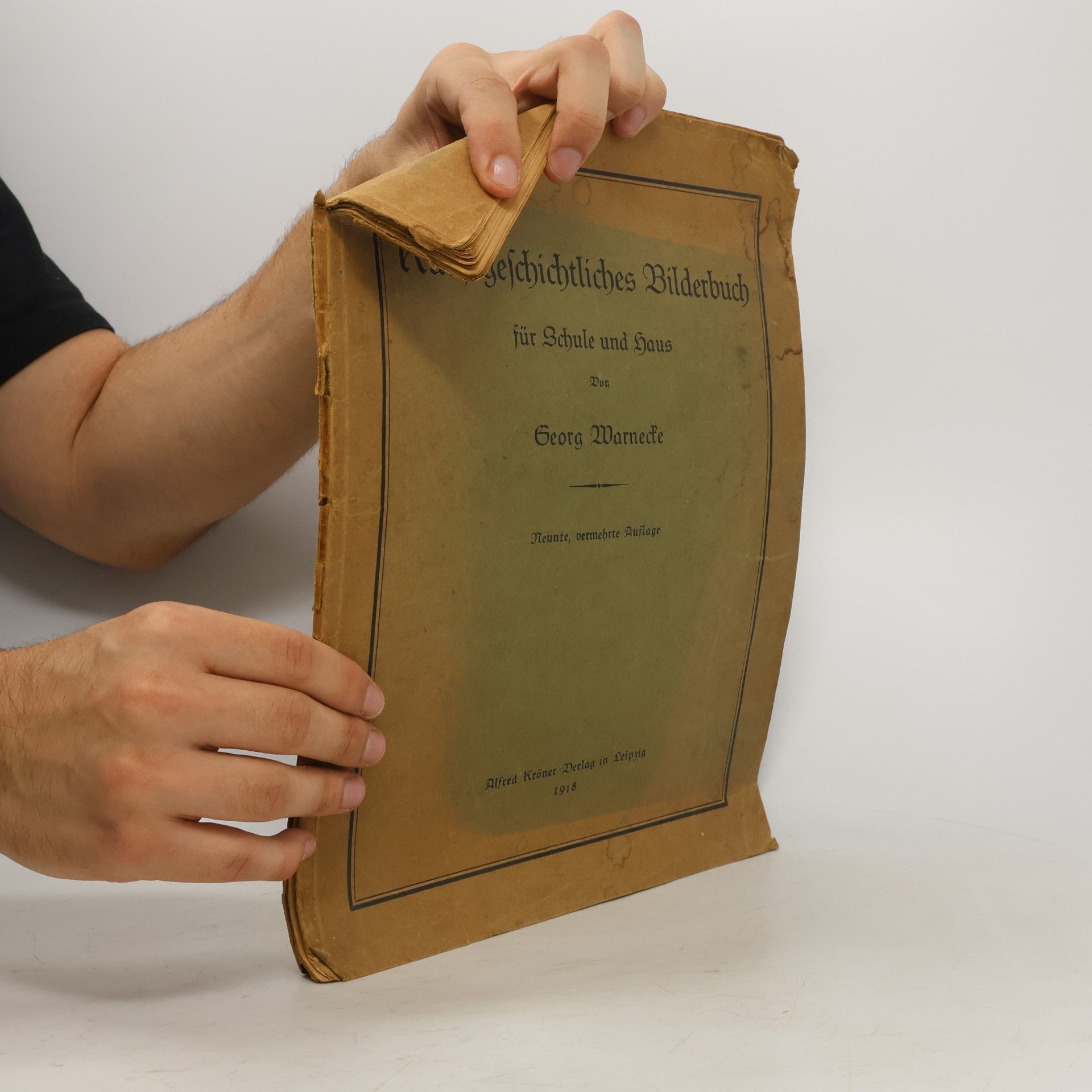 Georg Warnecke Kunstgeschichtliches Bilderbuch für Schule und Haus