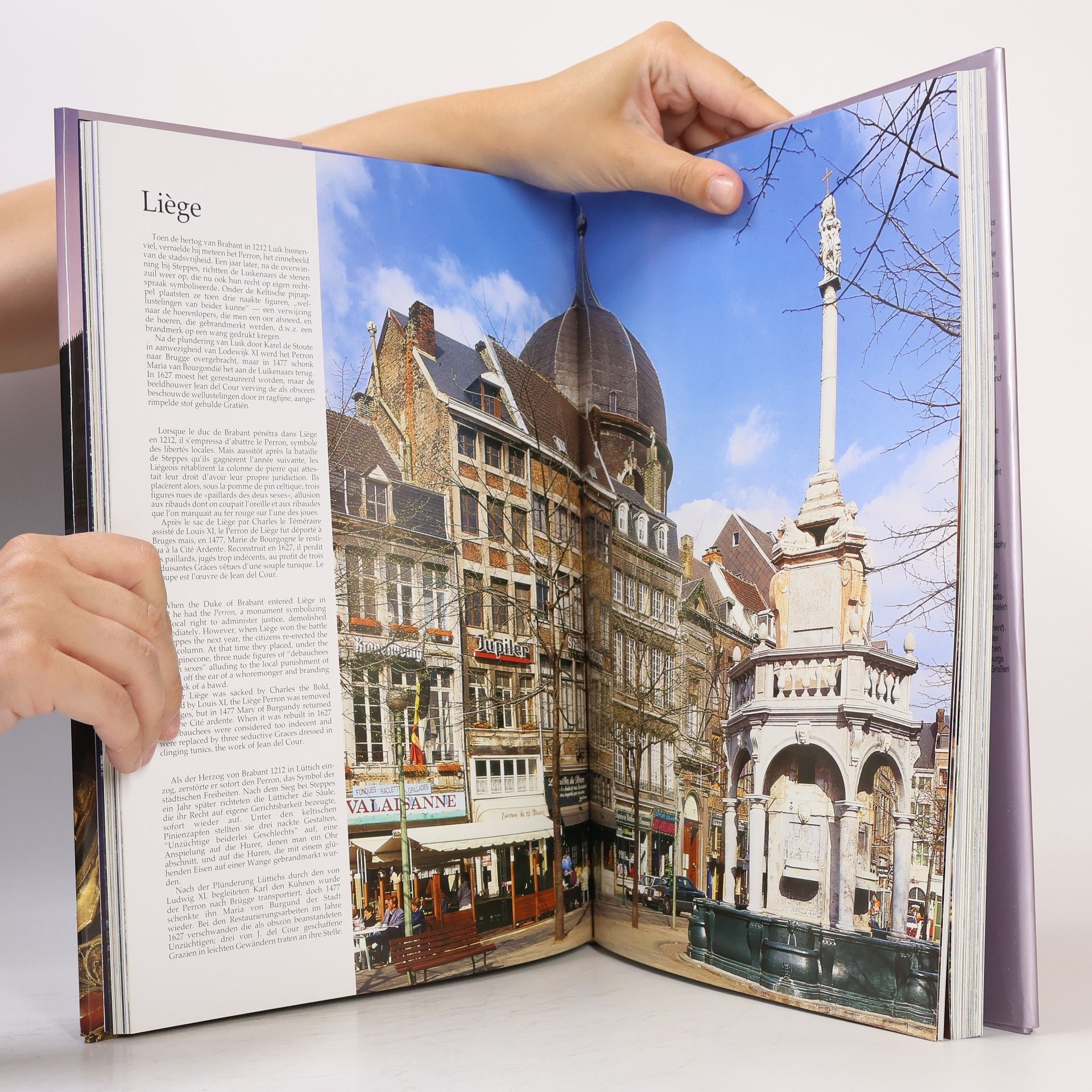Kolektiv autorů The Cities of Belgium